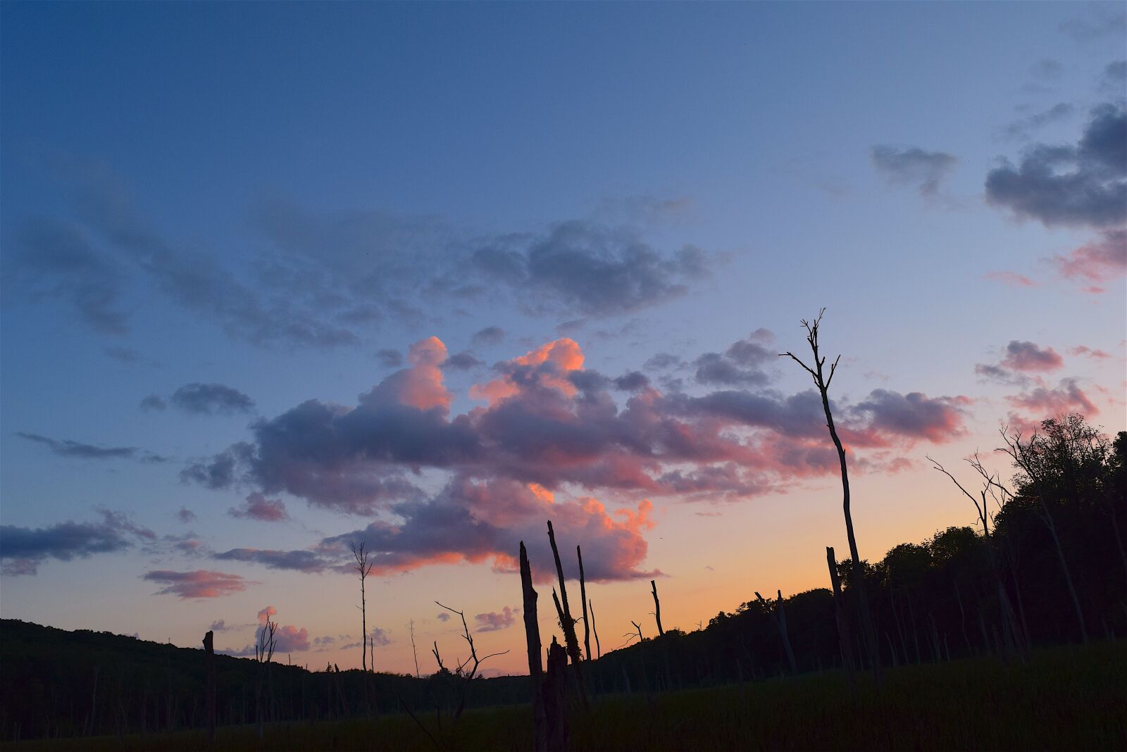 Nikon D3300 sample photo. Sunset, sky, trees photography