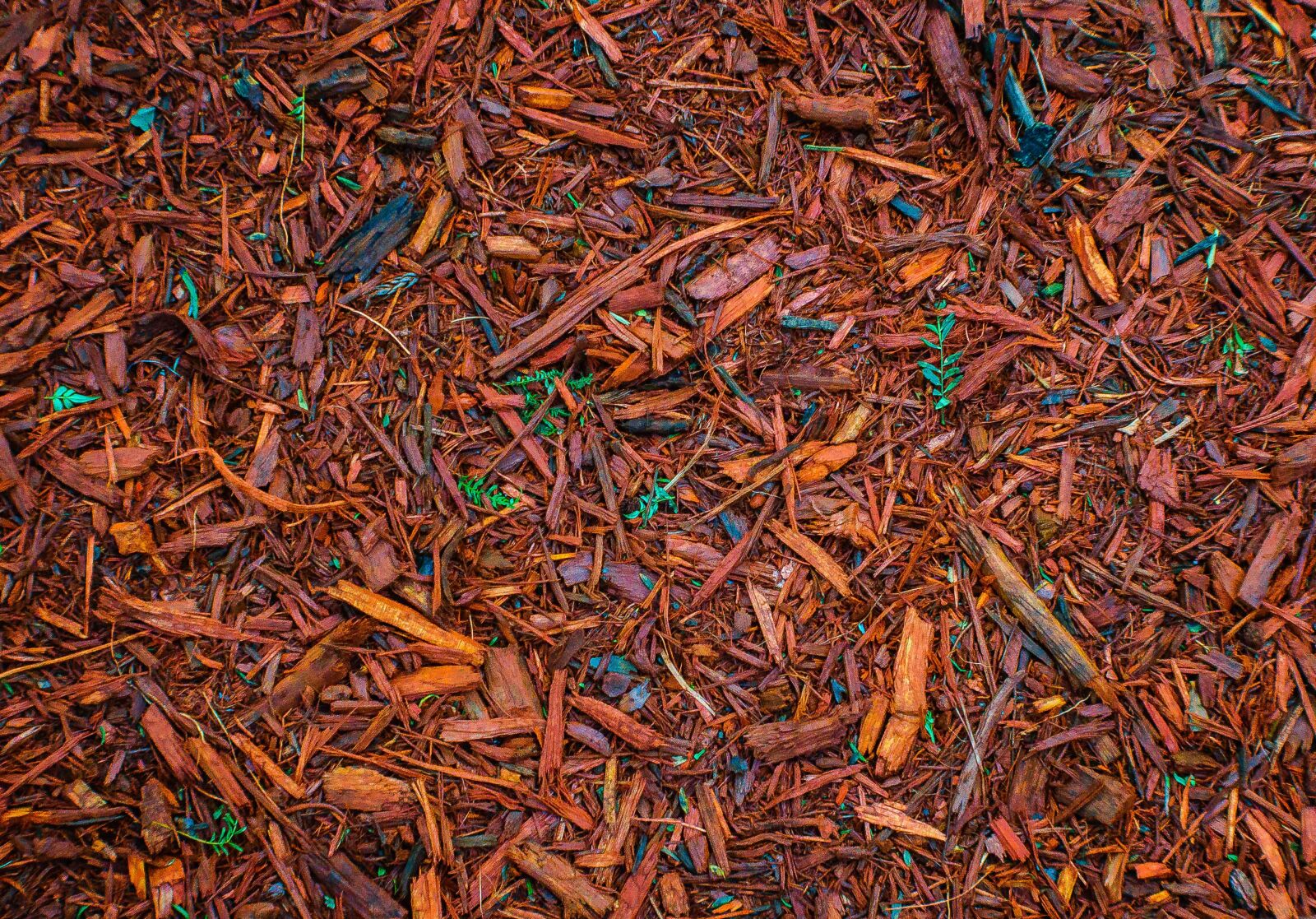Nikon D5300 sample photo. Patterns, forms, pattern photography