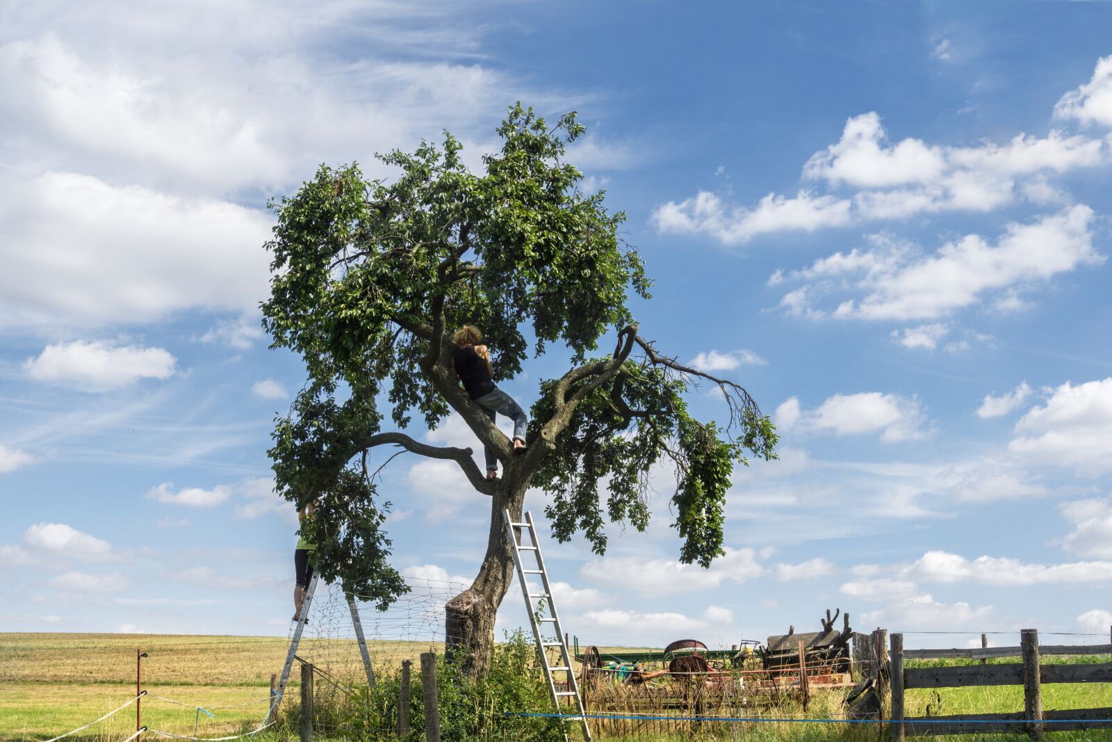 Sony E 16-50mm F3.5-5.6 PZ OSS sample photo. Harvest, agriculture, landscape photography