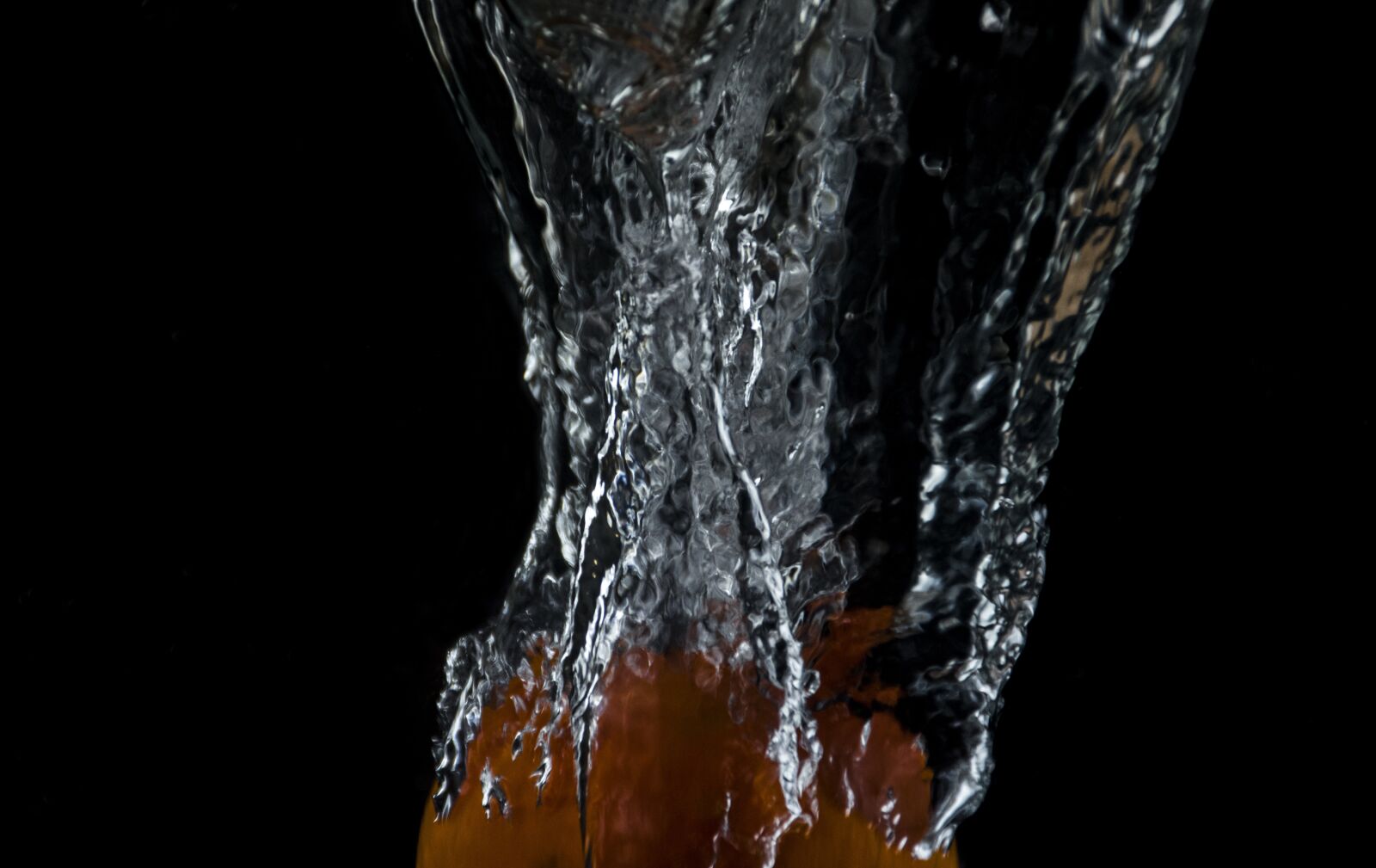 Nikon D5600 sample photo. No person, wet, orange photography
