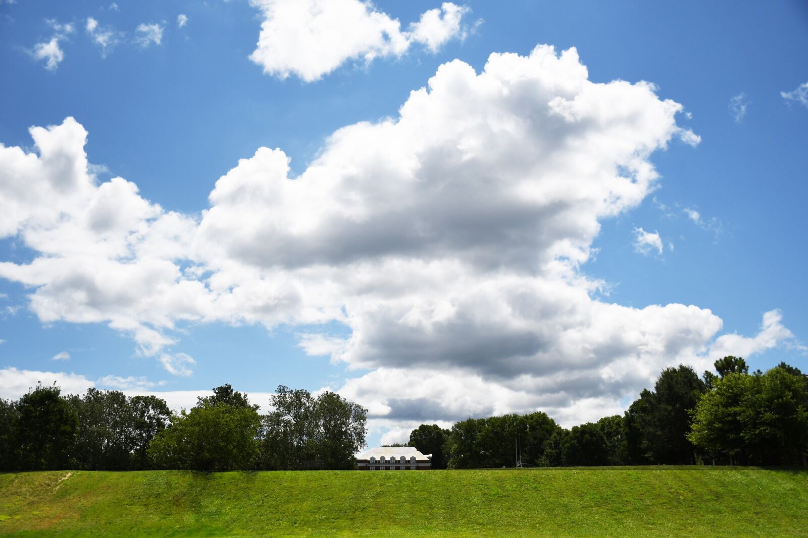 Nikon D7500 sample photo. Nature, landscape, annapolis area photography