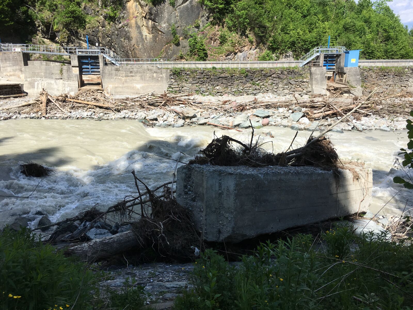 Apple iPhone 6s sample photo. Destruction, vaia, forward photography
