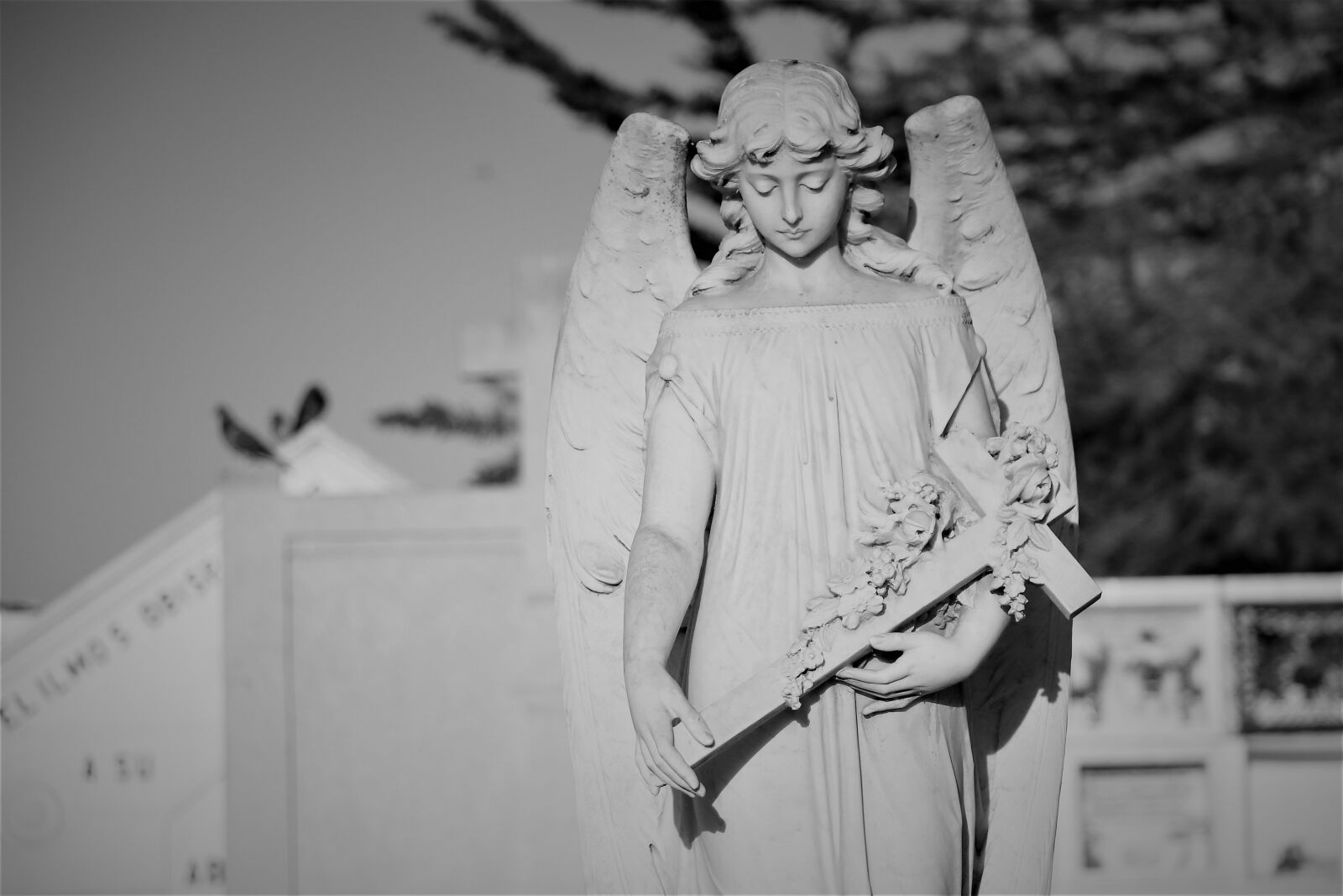 Canon EOS 70D + Canon EF-S 18-135mm F3.5-5.6 IS STM sample photo. Angel, death, grave photography
