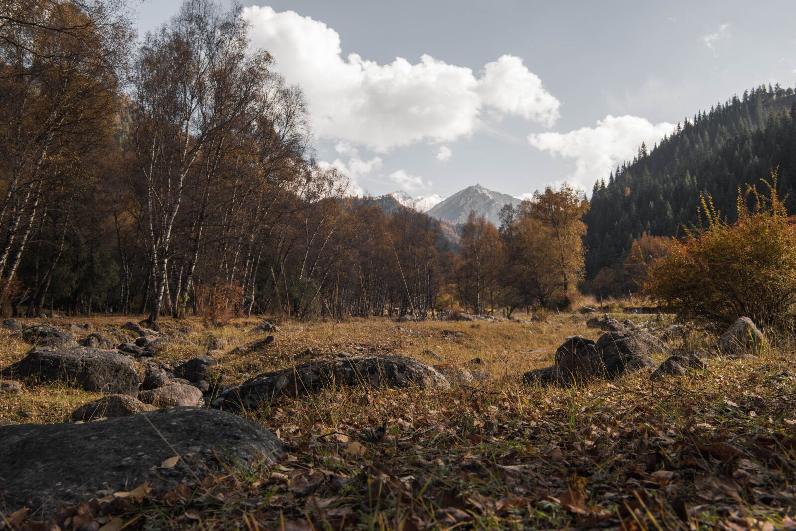 Nikon D810 sample photo. The scenery, fairy m photography
