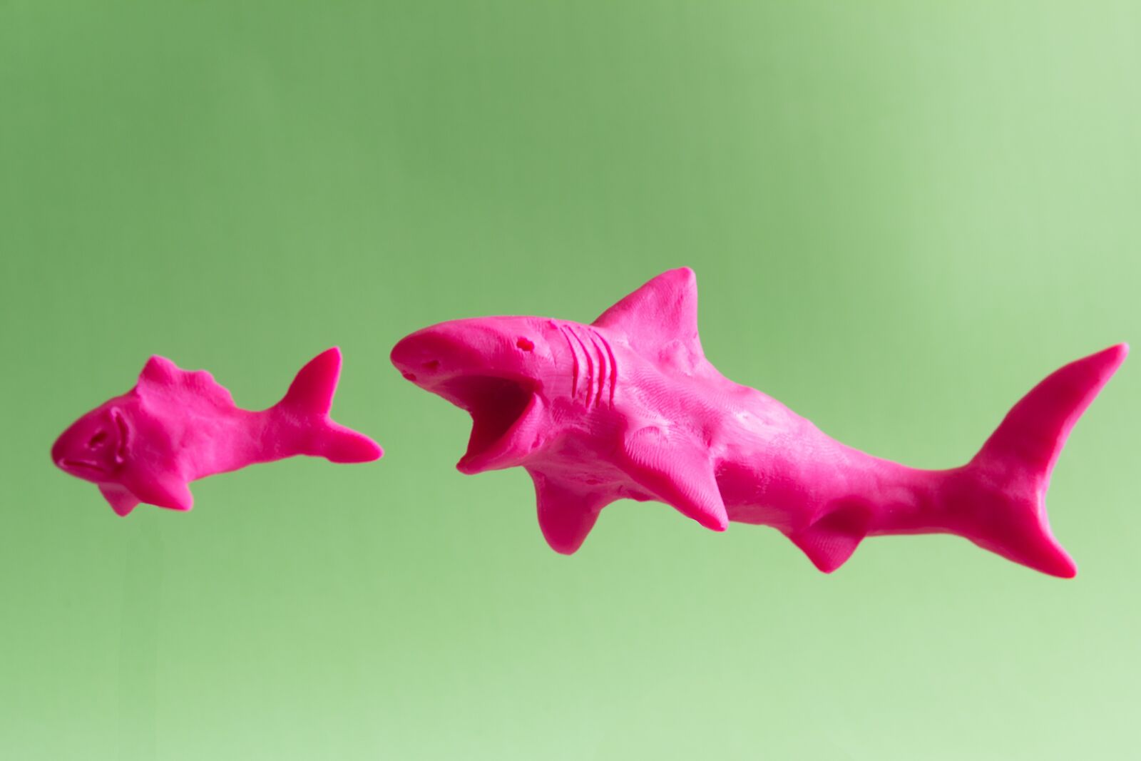 Canon EOS 60D sample photo. Fish, shark, clay photography