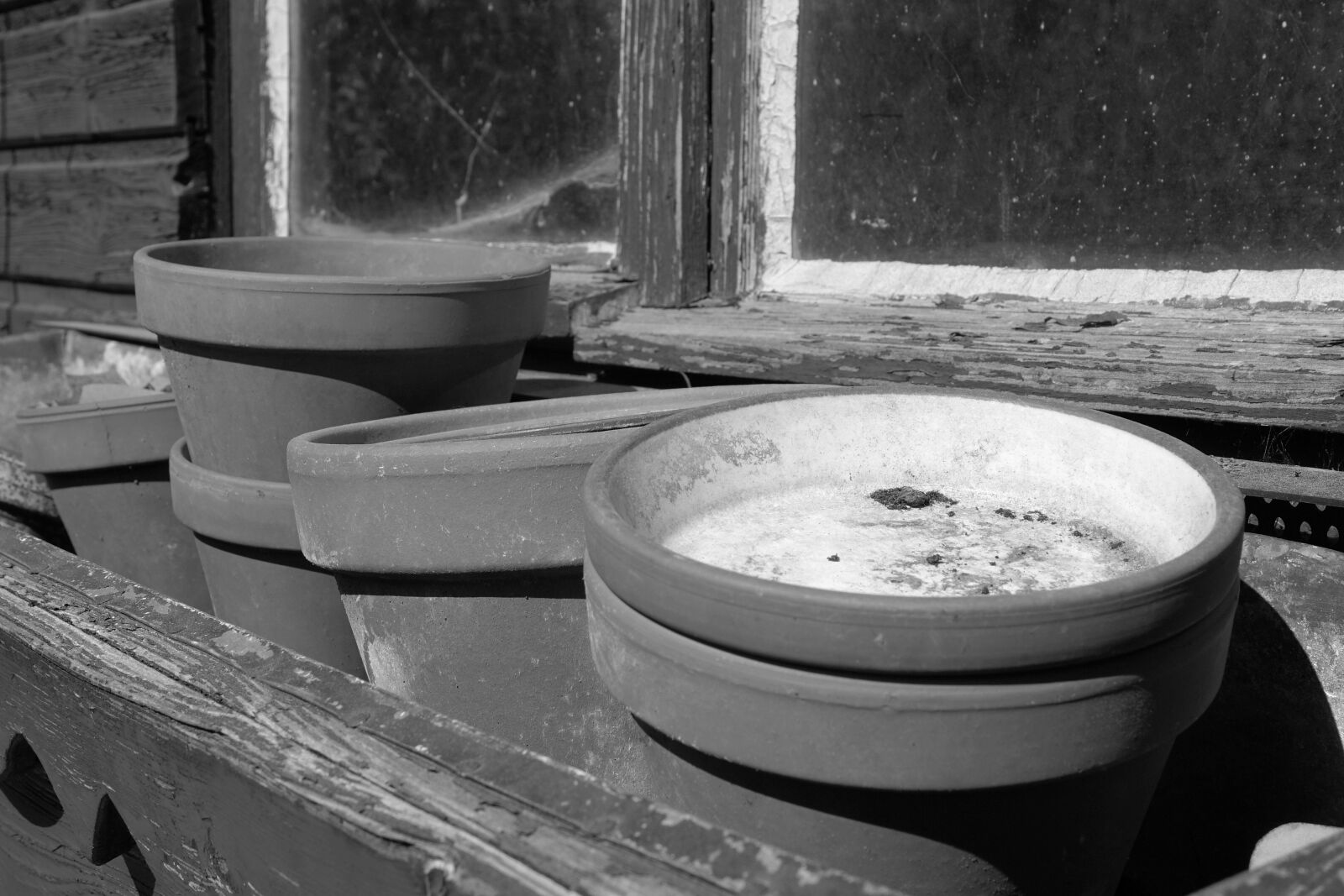 Sony a6000 sample photo. Clay pots, sound, flower photography