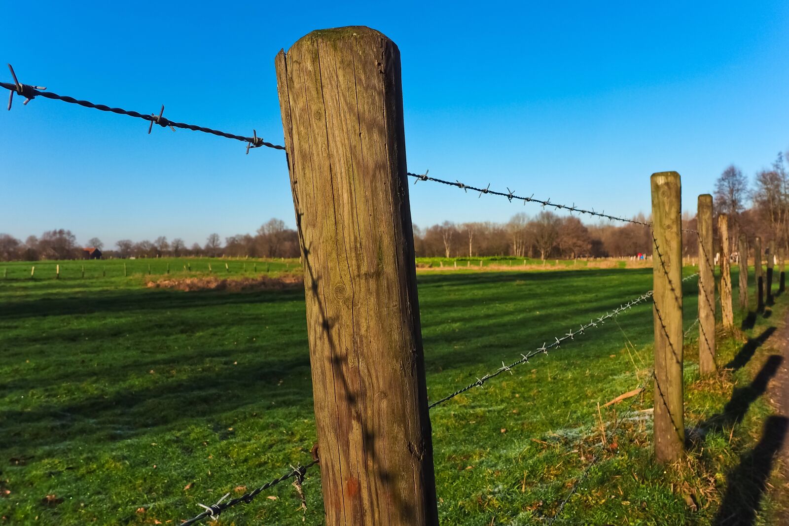 Olympus OM-D E-M10 sample photo. Landscape, fence, nature photography