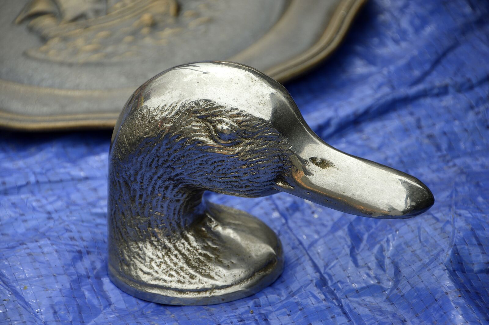 Nikon D3200 sample photo. No person, duck, head photography
