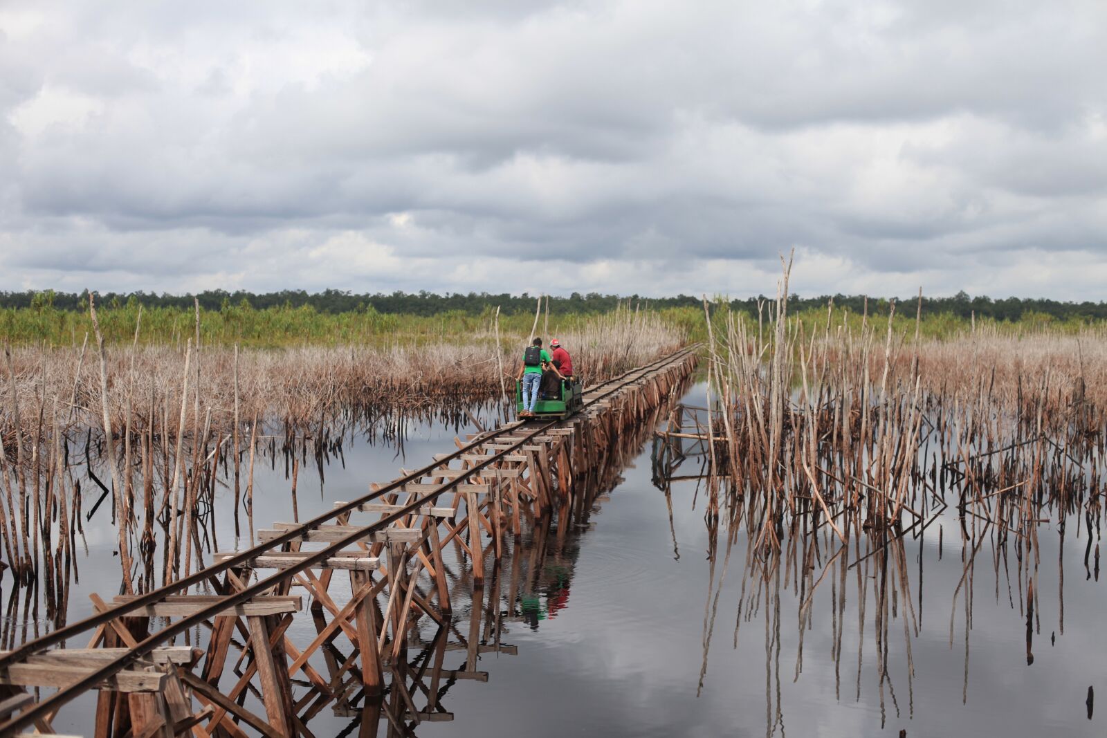 Canon EOS 5D Mark II sample photo. Borneo, peat swamp, national photography