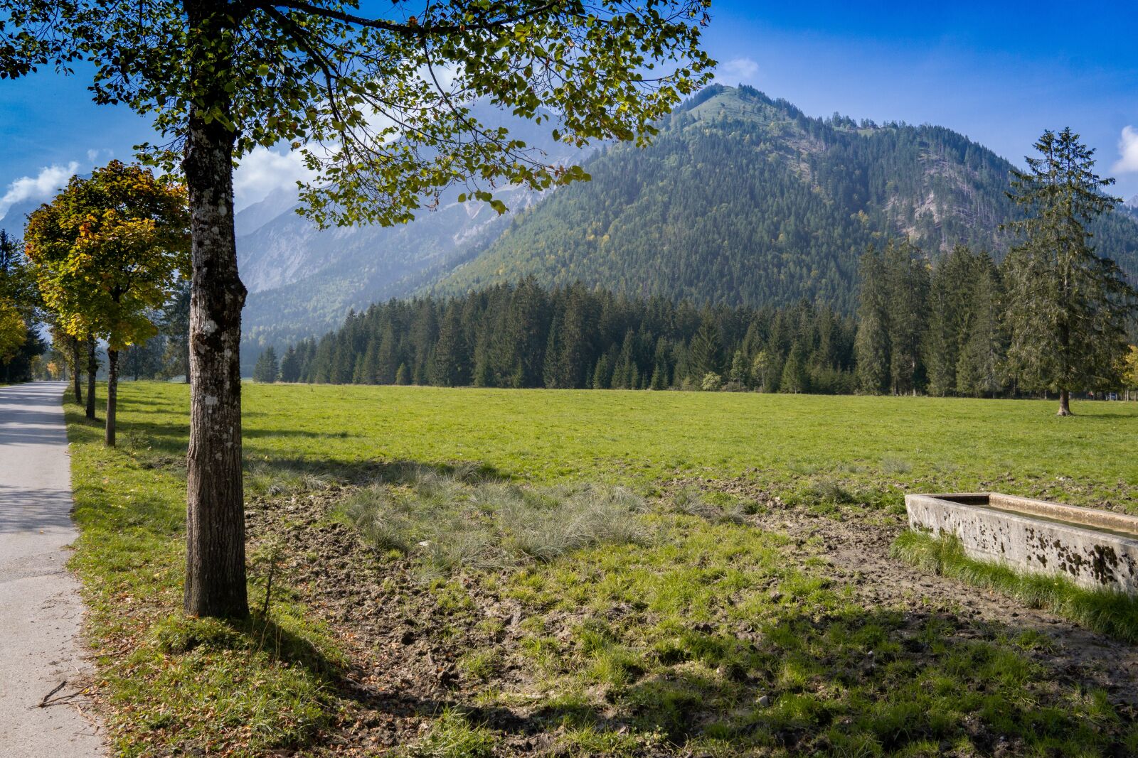 Sony a6000 + Sigma 19mm F2.8 EX DN sample photo. Landscape, tree, nature photography