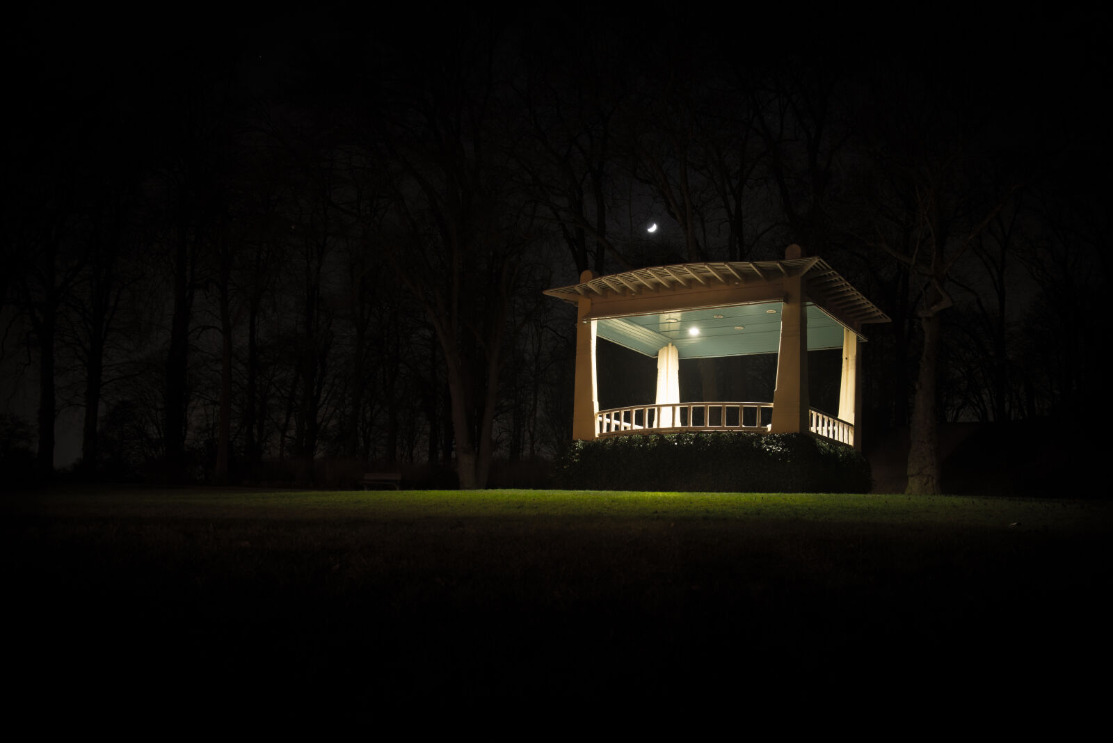 Nikon D600 sample photo. Light, turned, on, canopy photography