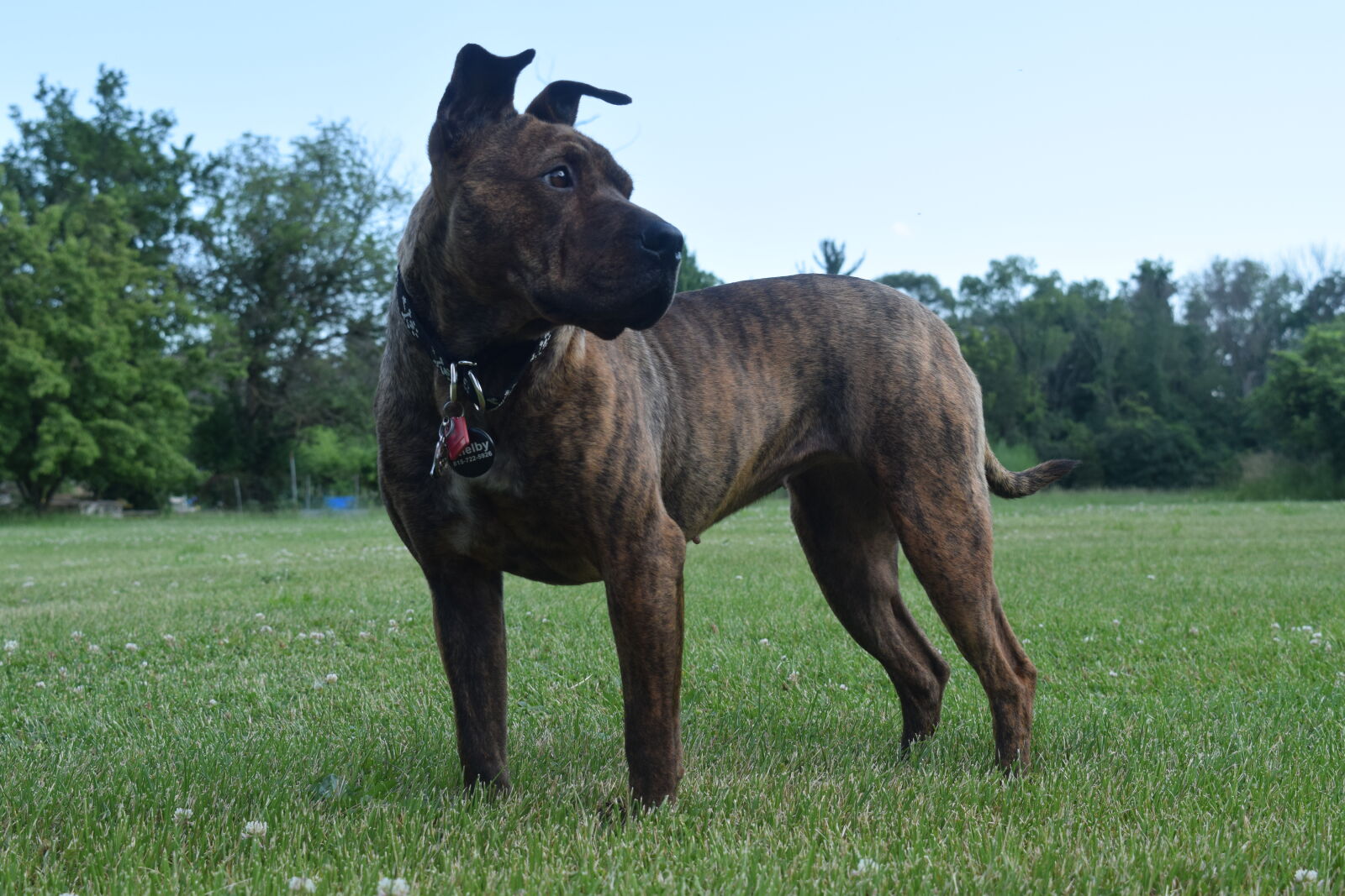 Nikon D3300 sample photo