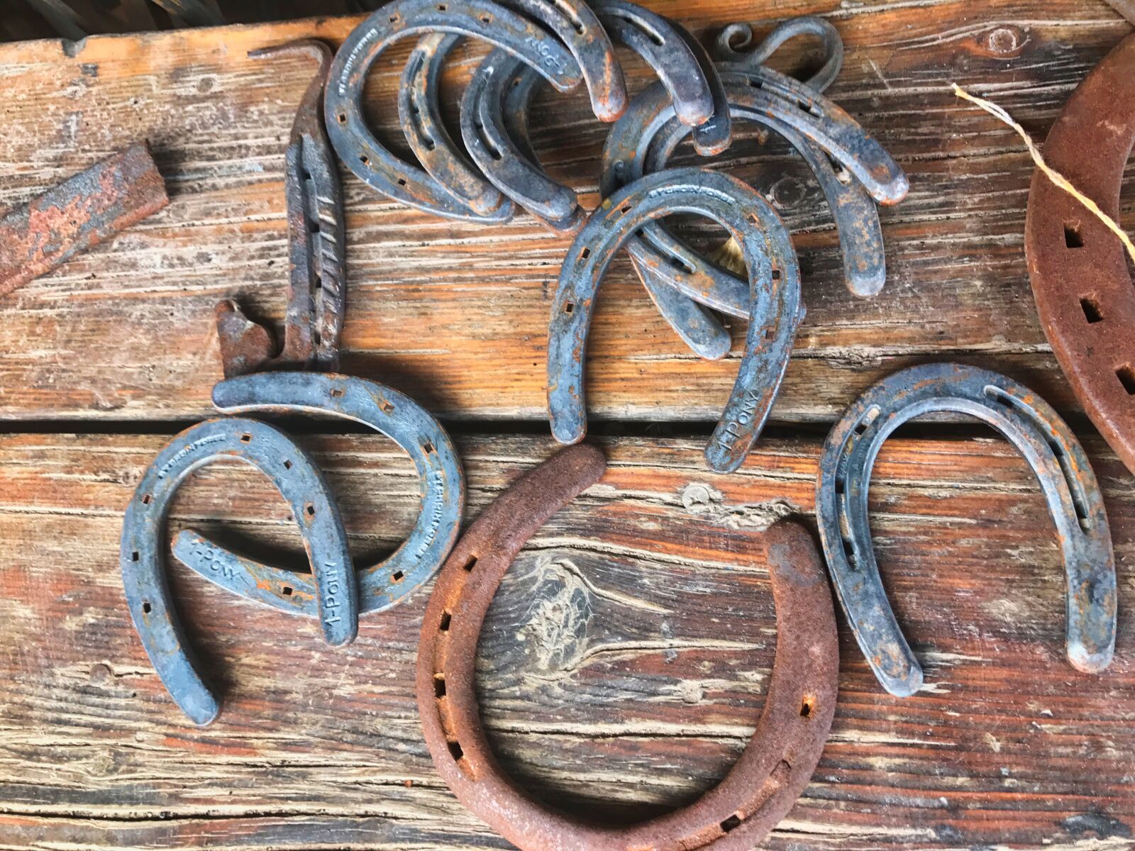 iPhone 7 back camera 3.99mm f/1.8 sample photo. Horseshoe, old, metal photography