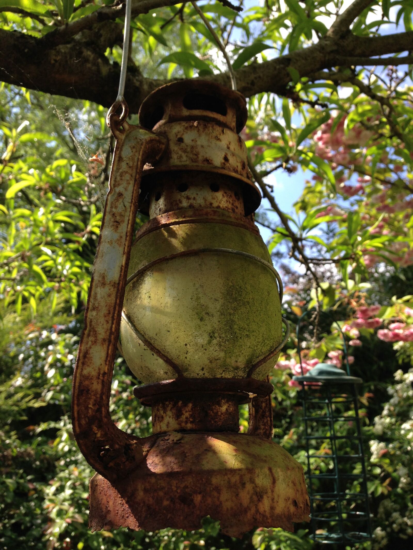 Apple iPhone 5c sample photo. Garden, lamp, rust photography