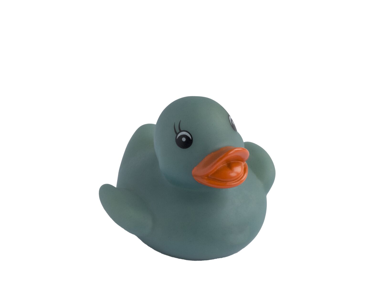 Panasonic Lumix DMC-FZ200 sample photo. Rubber duck, duck, blue photography