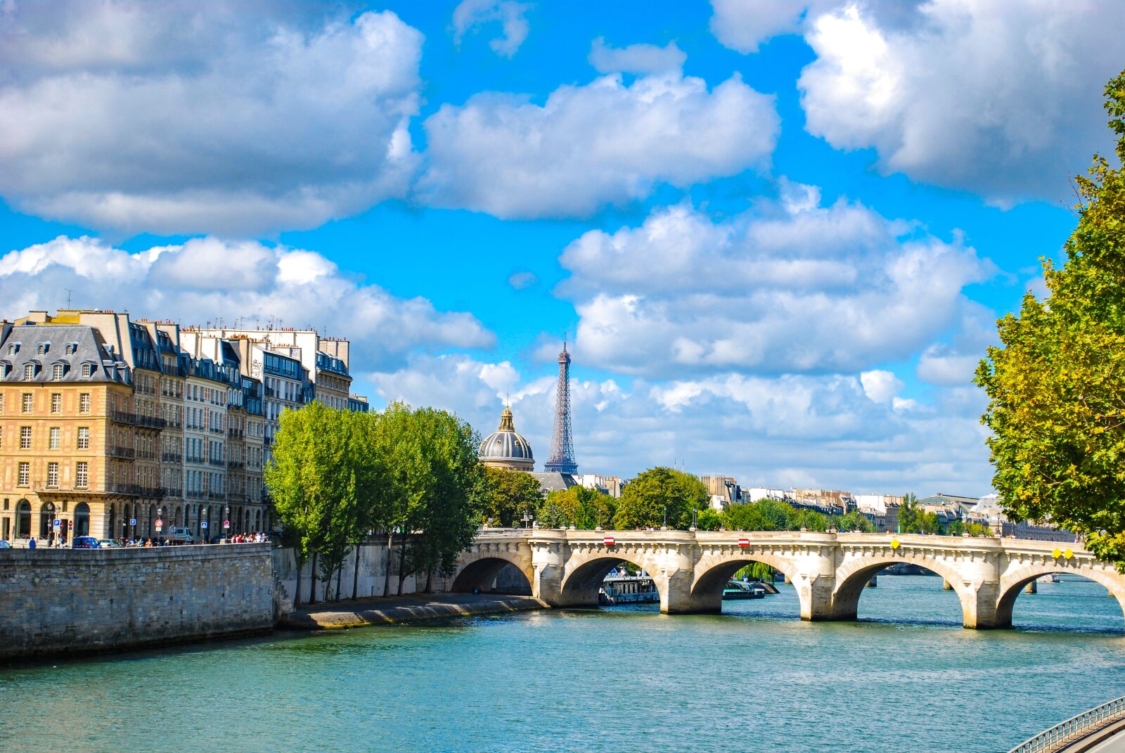 Nikon D40X sample photo. Paris, bridge, river photography