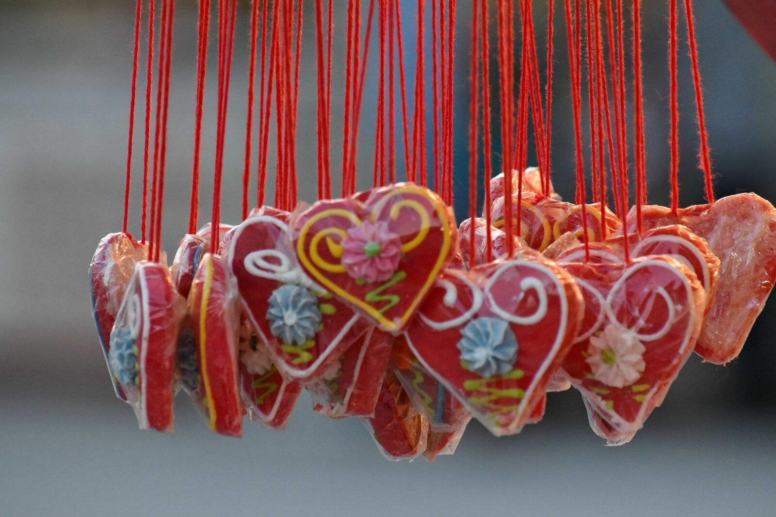 Nikon D5500 sample photo. Hanging, hearts, love, valentine photography