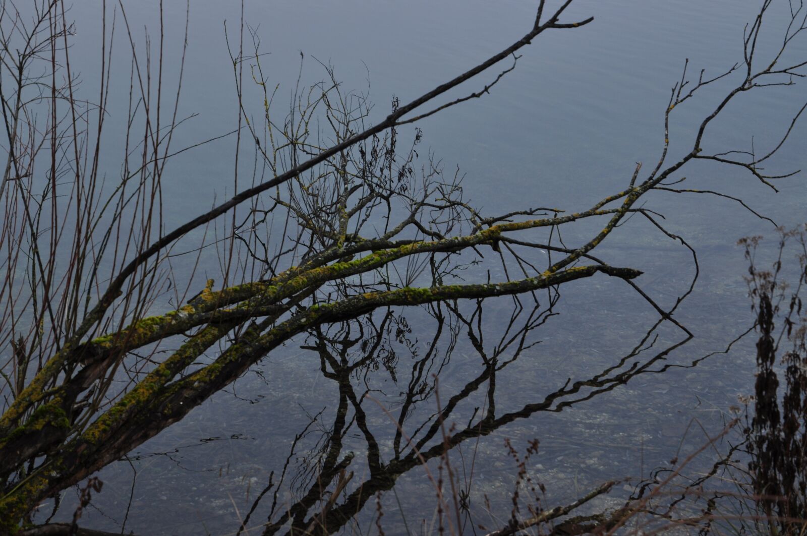 Nikon D5000 sample photo. Mirroring, lake, water photography
