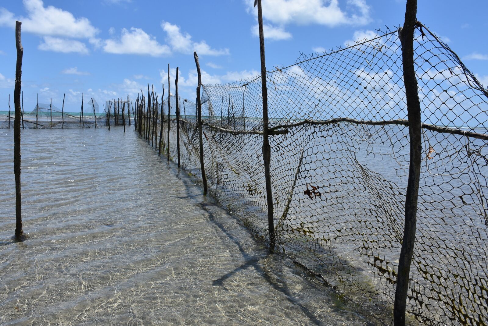 Nikon D7200 sample photo. Fishery, mar, beach photography