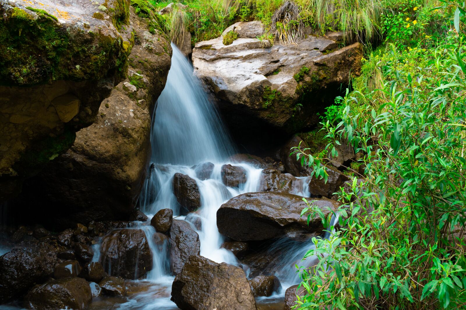 Nikon D3500 sample photo. River, rivera, rocks photography