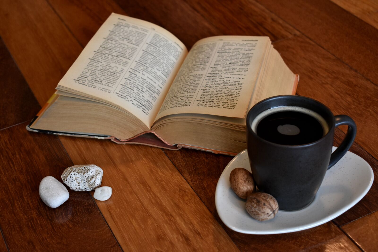Nikon D3400 sample photo. Book, old book, reading photography