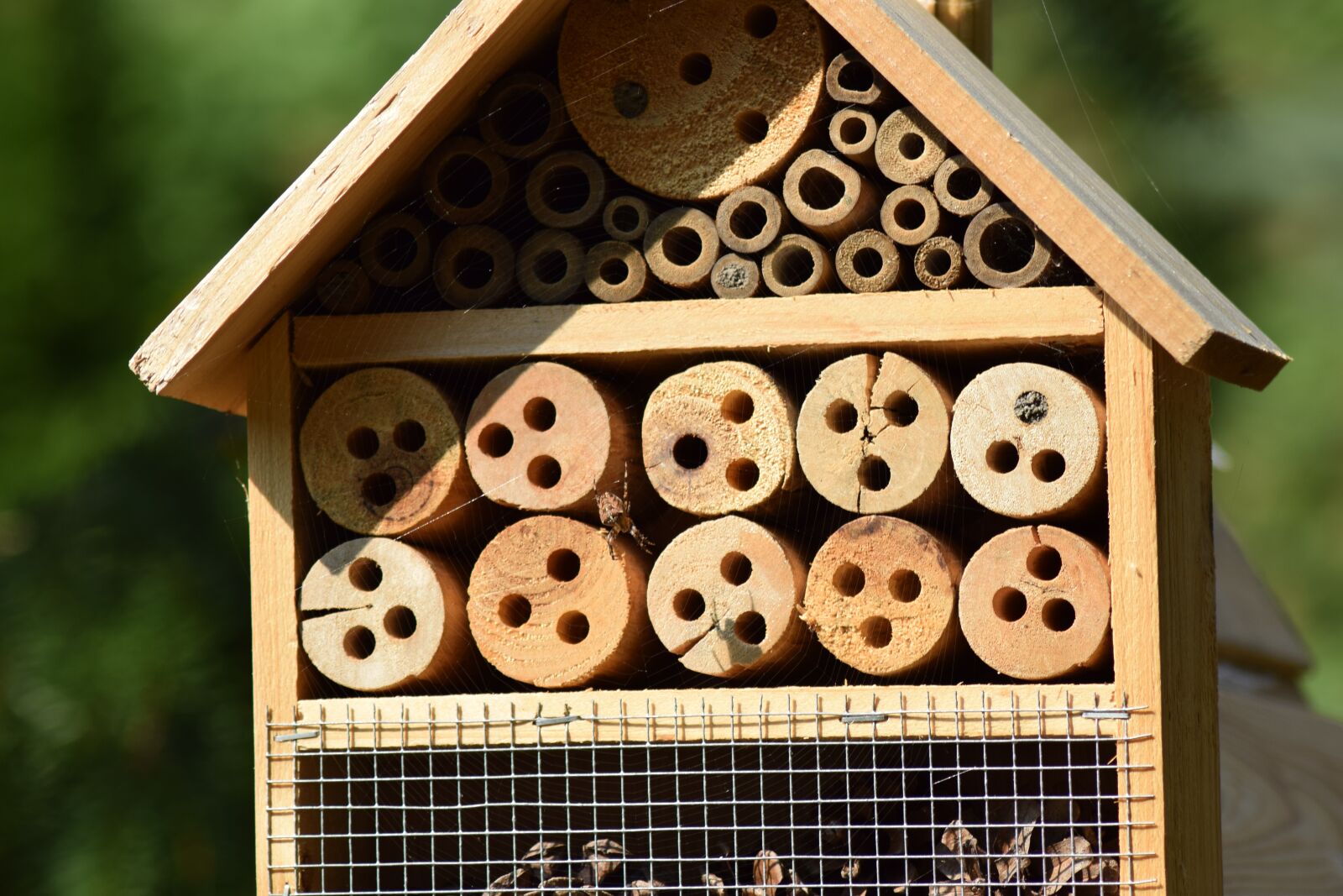 Nikon D3300 sample photo. Garden, insect house, hotbed photography