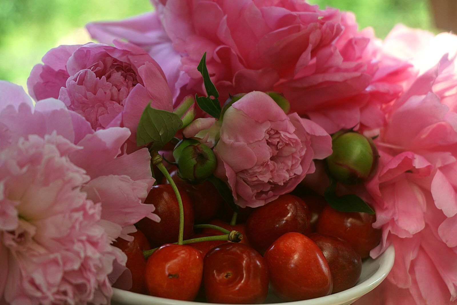 Sony a6000 sample photo. Cherry ripe, red, peonies photography