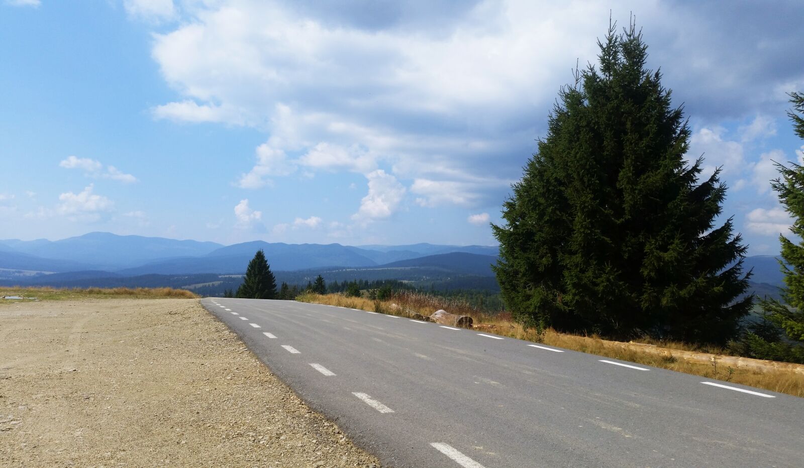Samsung Galaxy S5 sample photo. Fir, tree, nature, road photography