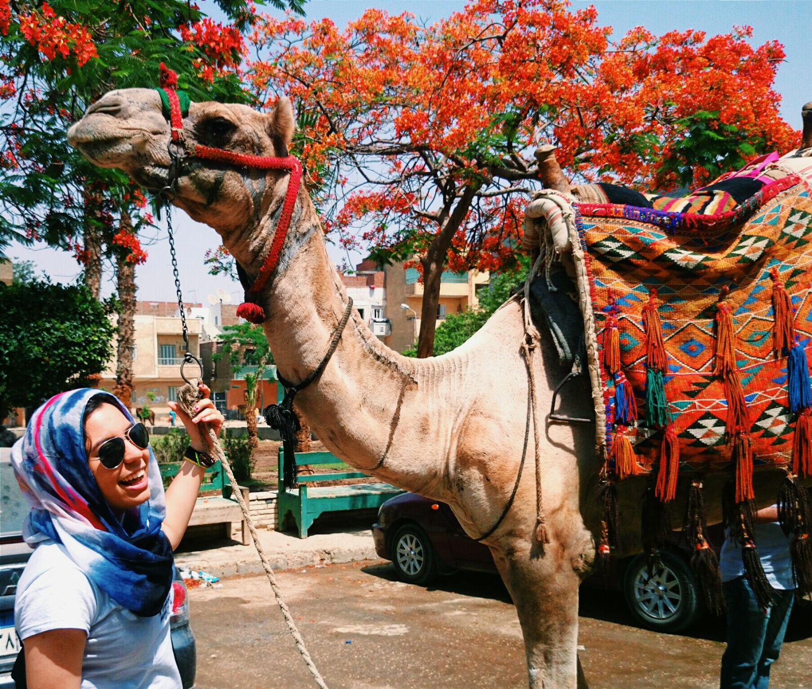 Sony Xperia Z1 sample photo. Camel, happy, smile photography