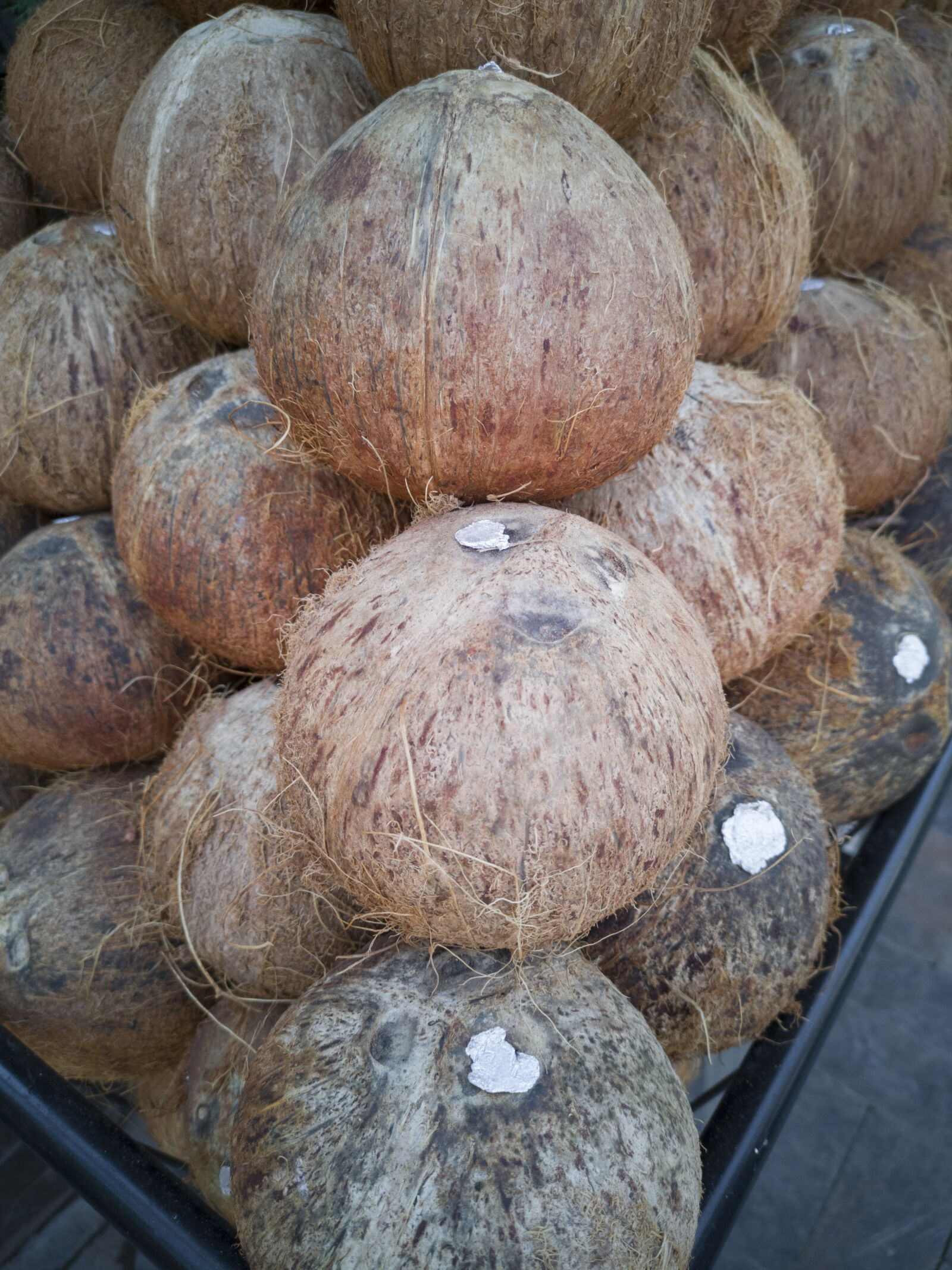 HUAWEI CLT-L09 sample photo. India coconut, juicy, palm photography