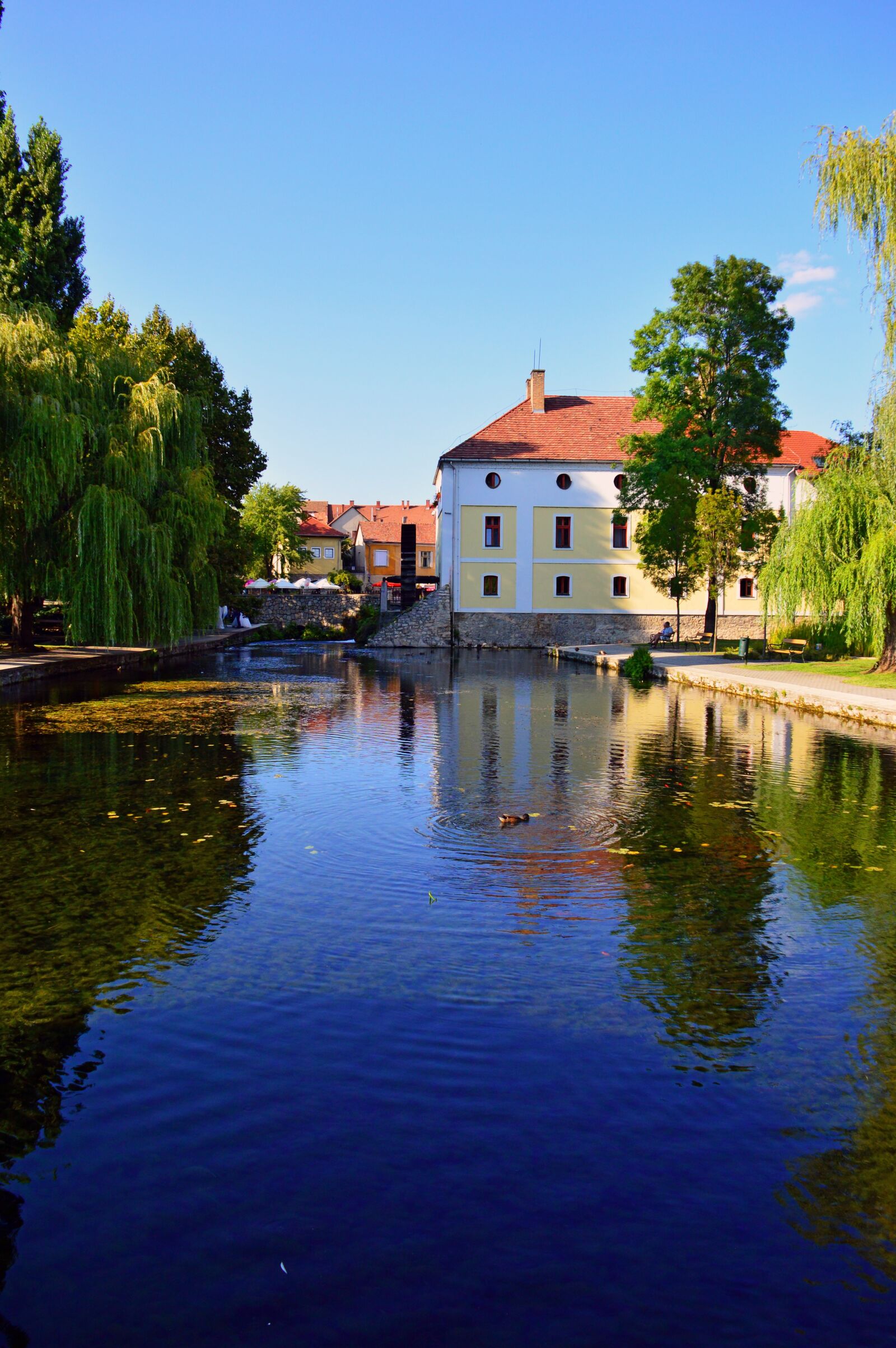 Nikon D3200 sample photo. Lake, tapolca lake, water photography