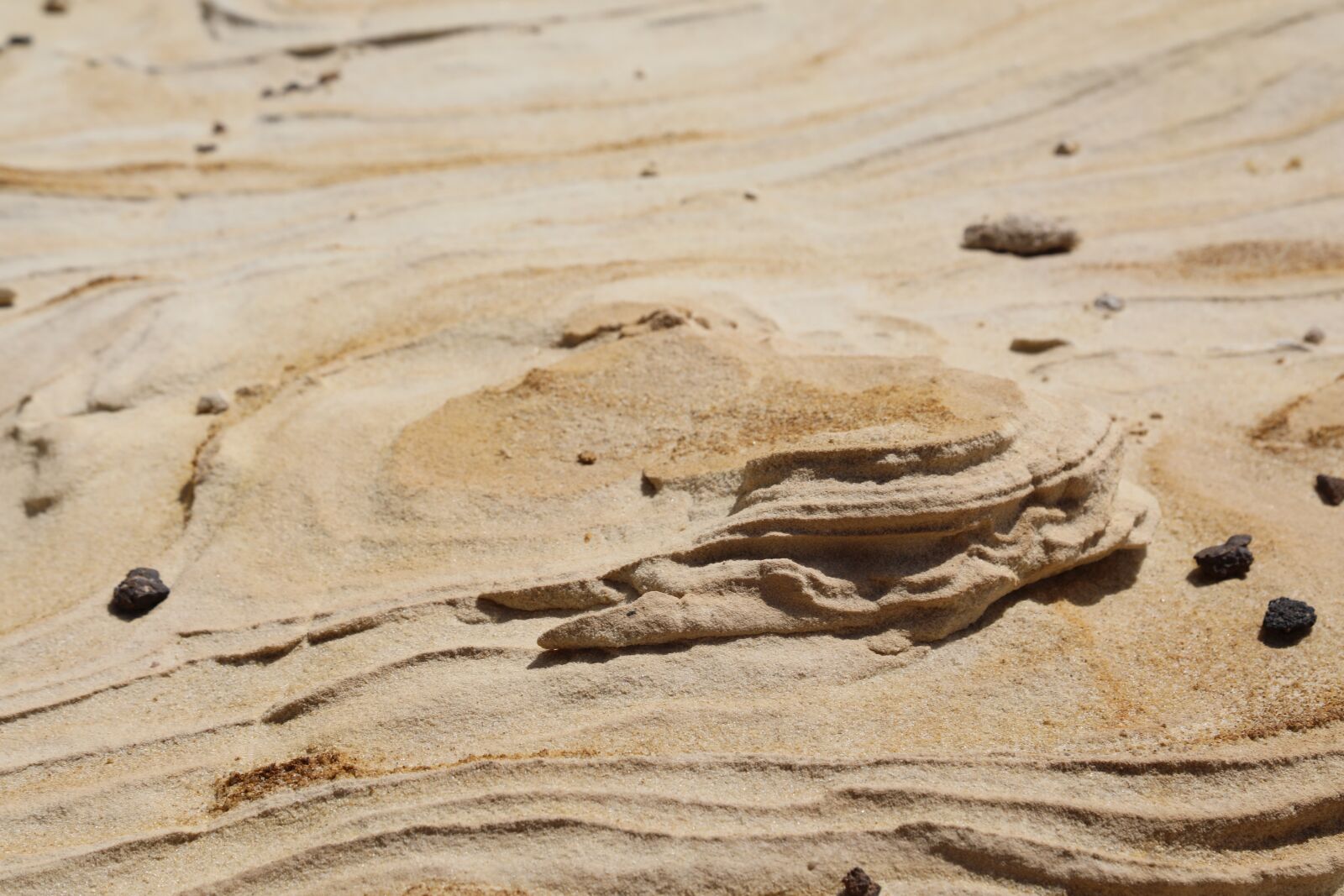 Canon EOS 5D Mark IV sample photo. Israel, desert, judaean desert photography