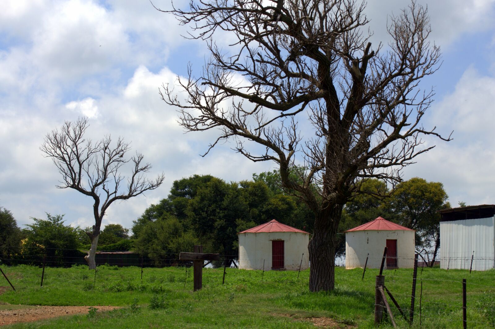 Nikon D3100 sample photo. Farm life, countryside, farming photography