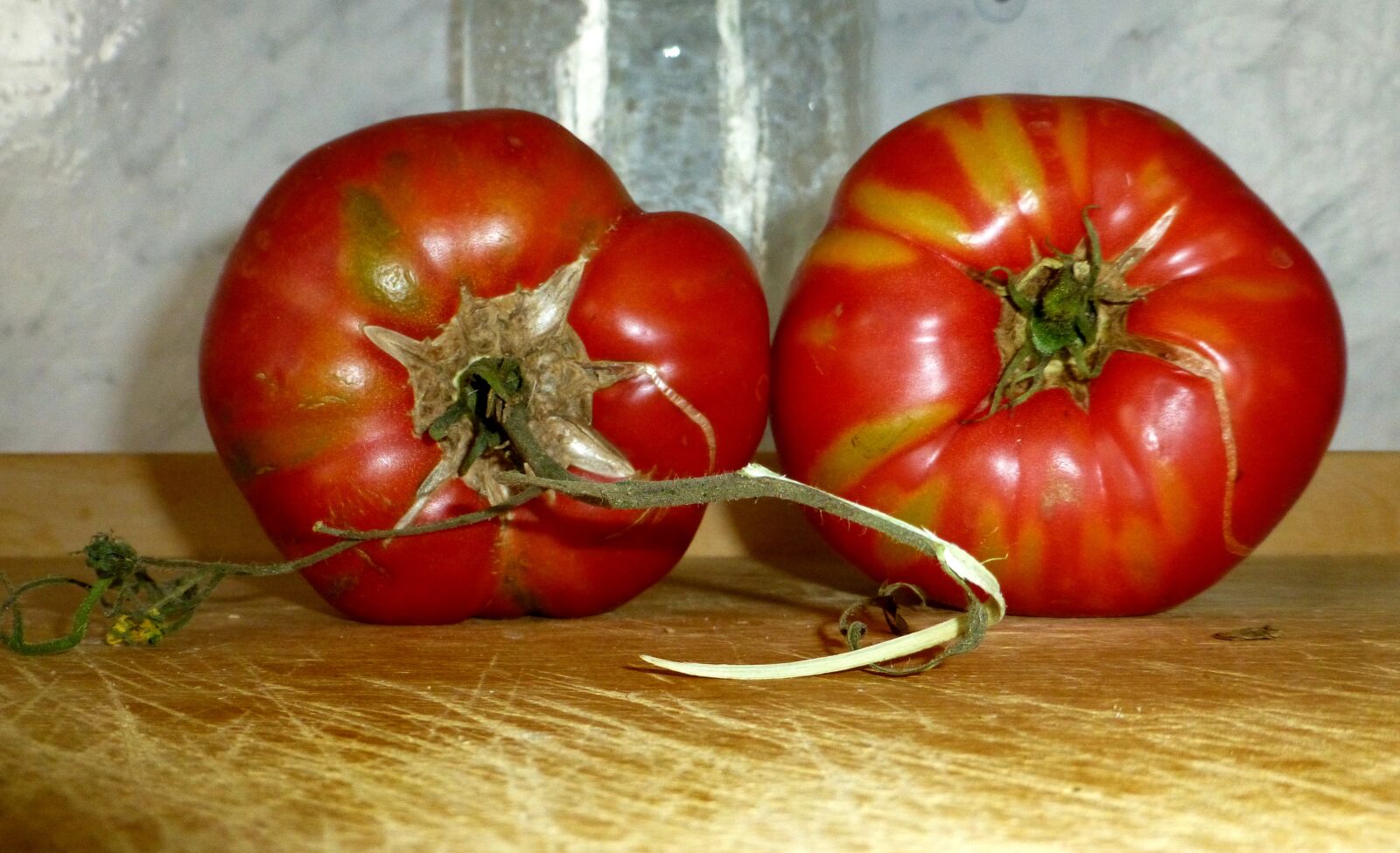 Panasonic DMC-TZ31 sample photo. Tomato, solanum lycopersicum, nachtschattengew photography