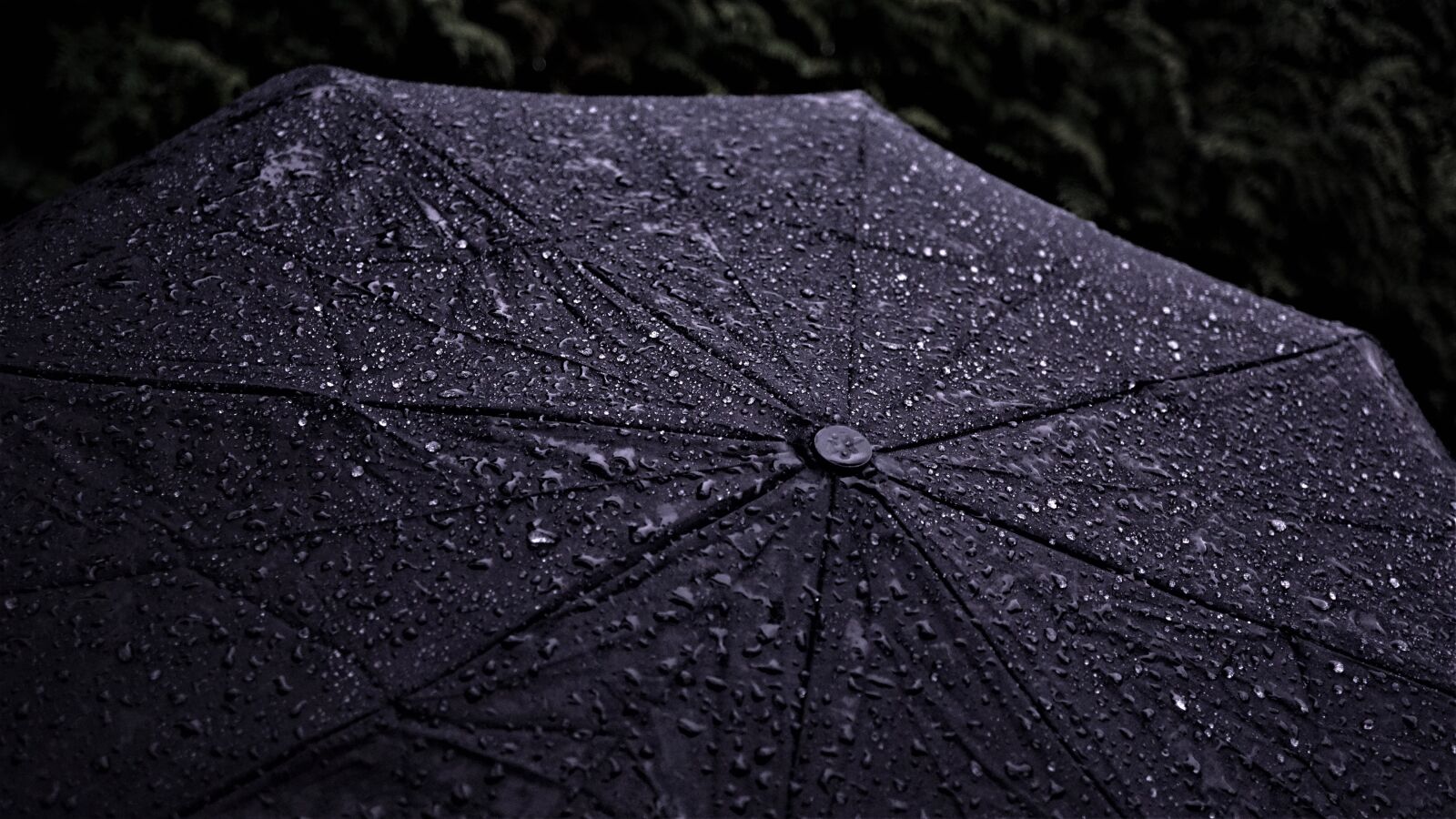 Sony a6000 sample photo. Umbrella, background, rainy weather photography