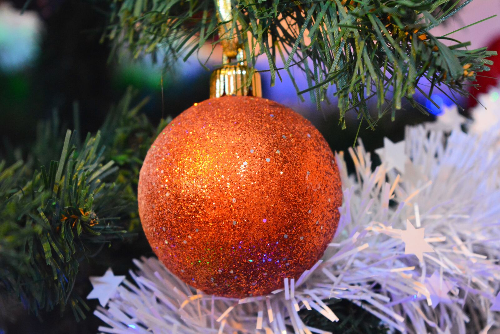 Nikon D5200 sample photo. Christmas, brad, artificial christmas photography