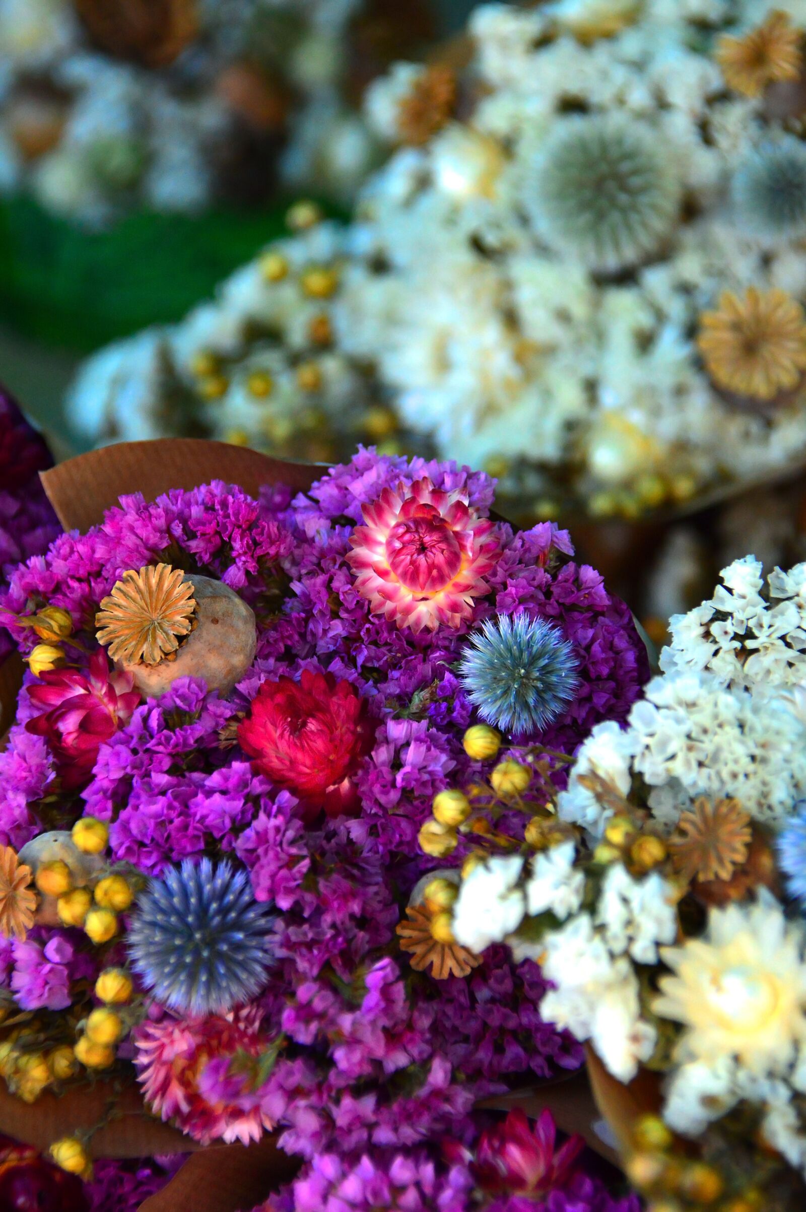 Nikon D3200 sample photo. Dried flower, color, wreath photography