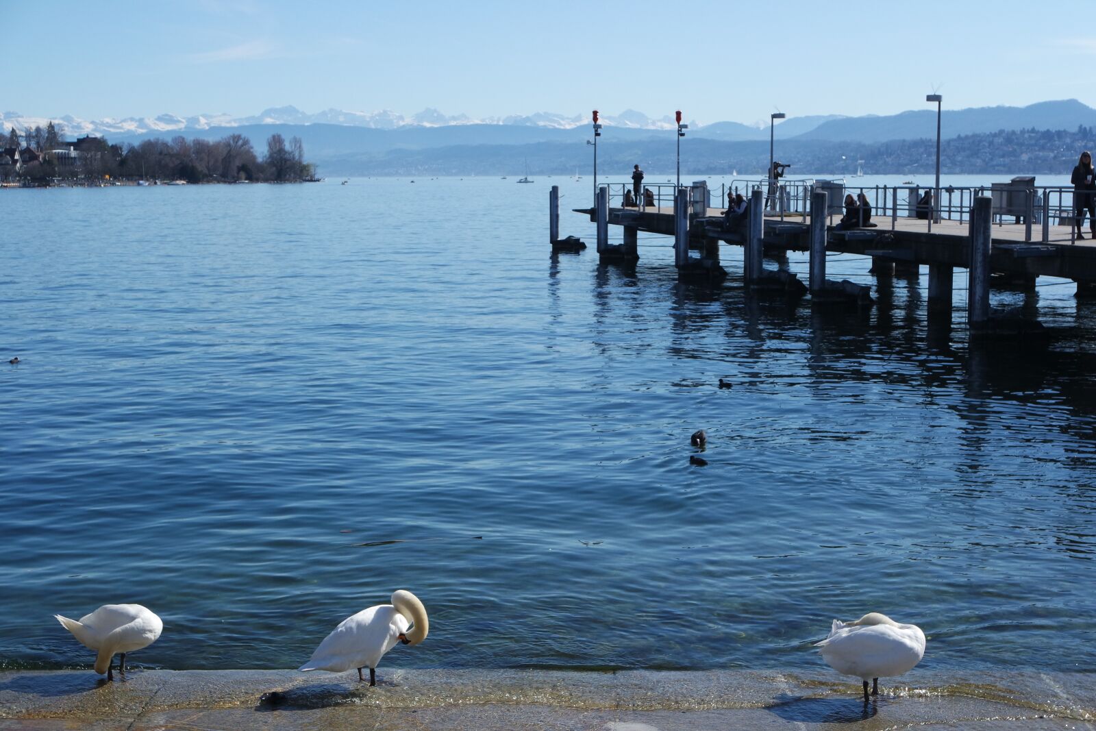 Samsung NX 16-50mm F3.5-5.6 Power Zoom ED OIS sample photo. Zurich, lake zurich, b photography