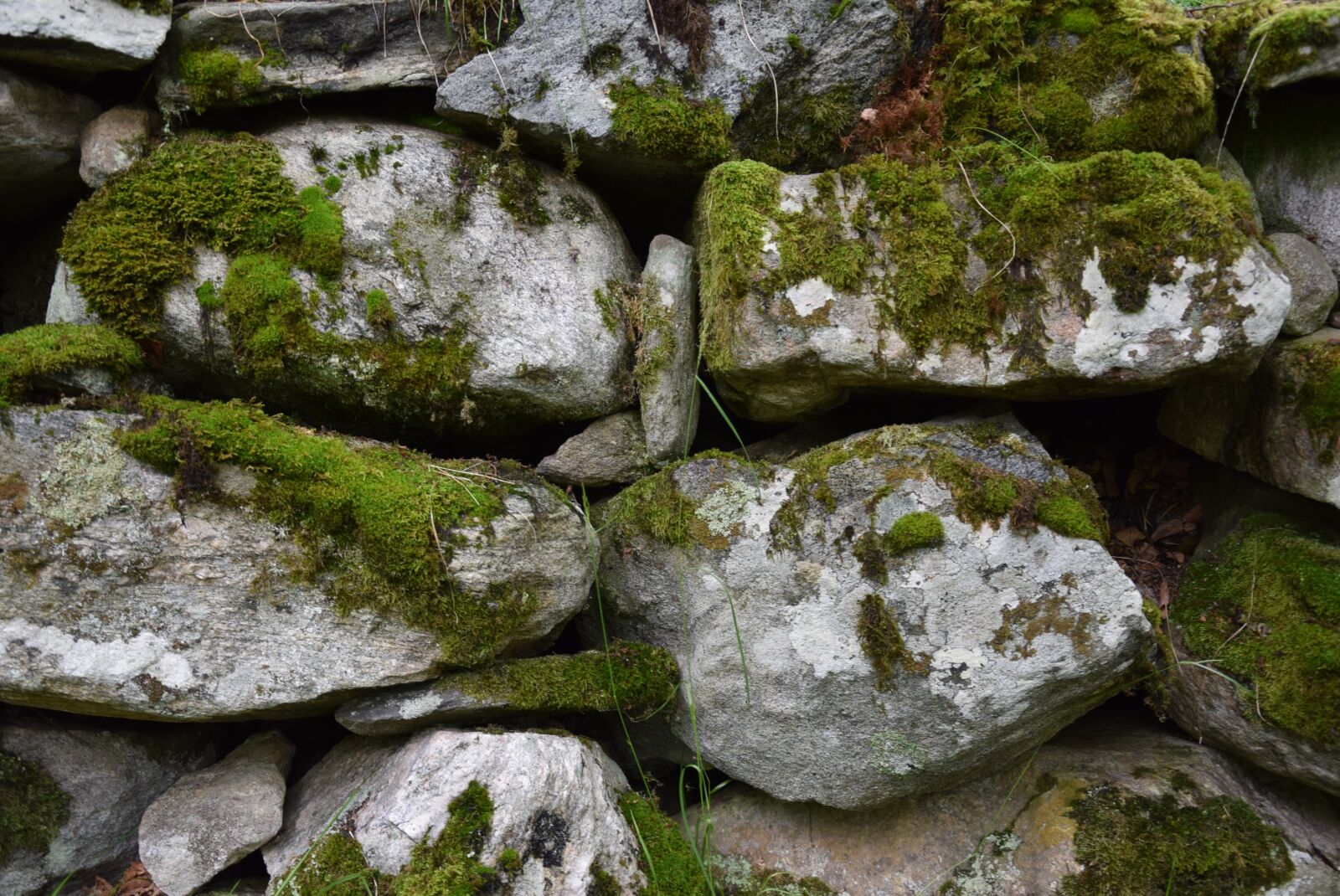 Nikon D3300 sample photo. Stones, stone wall, wall photography