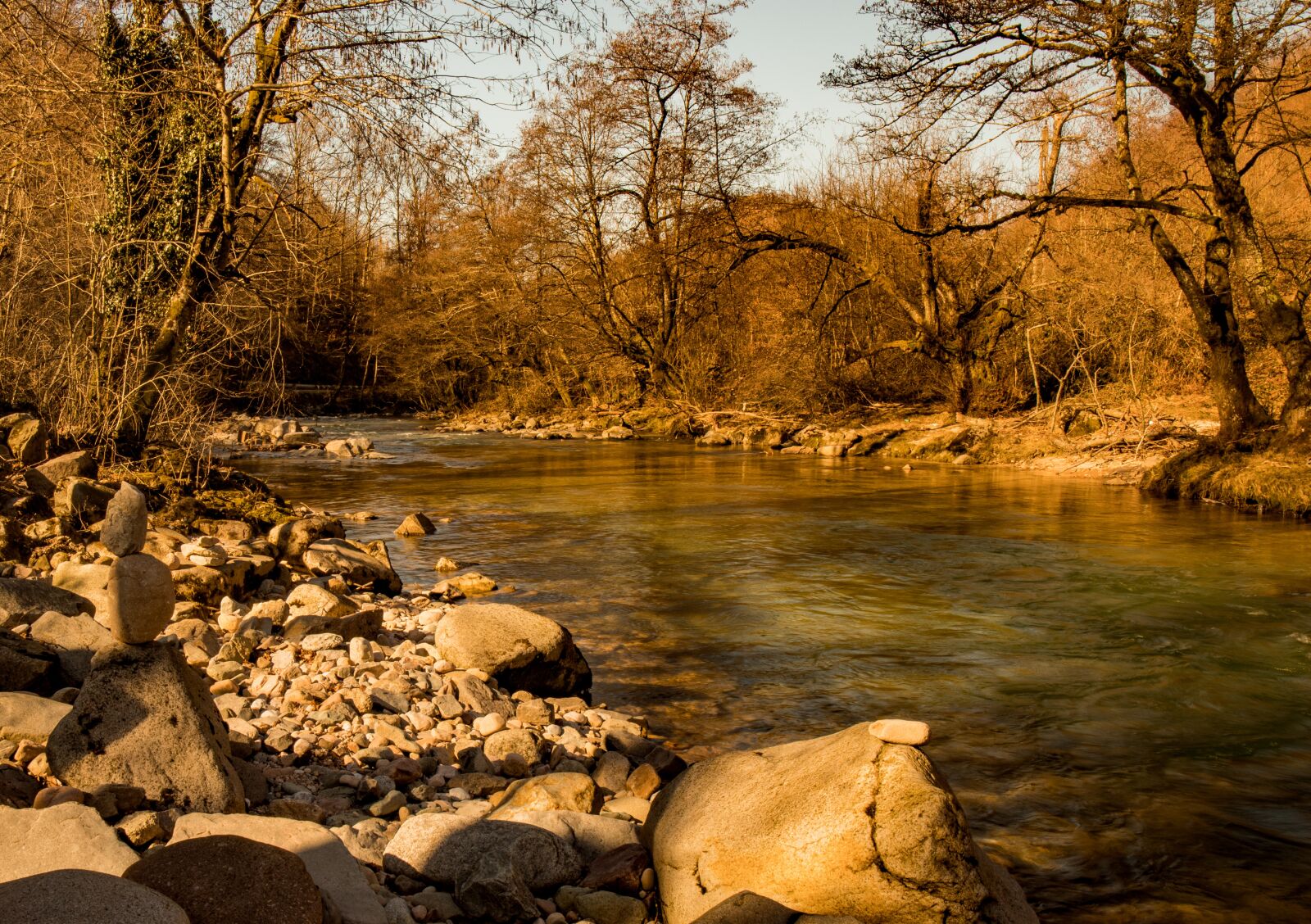 Canon EOS 6D Mark II sample photo. Nature, forest, mood photography