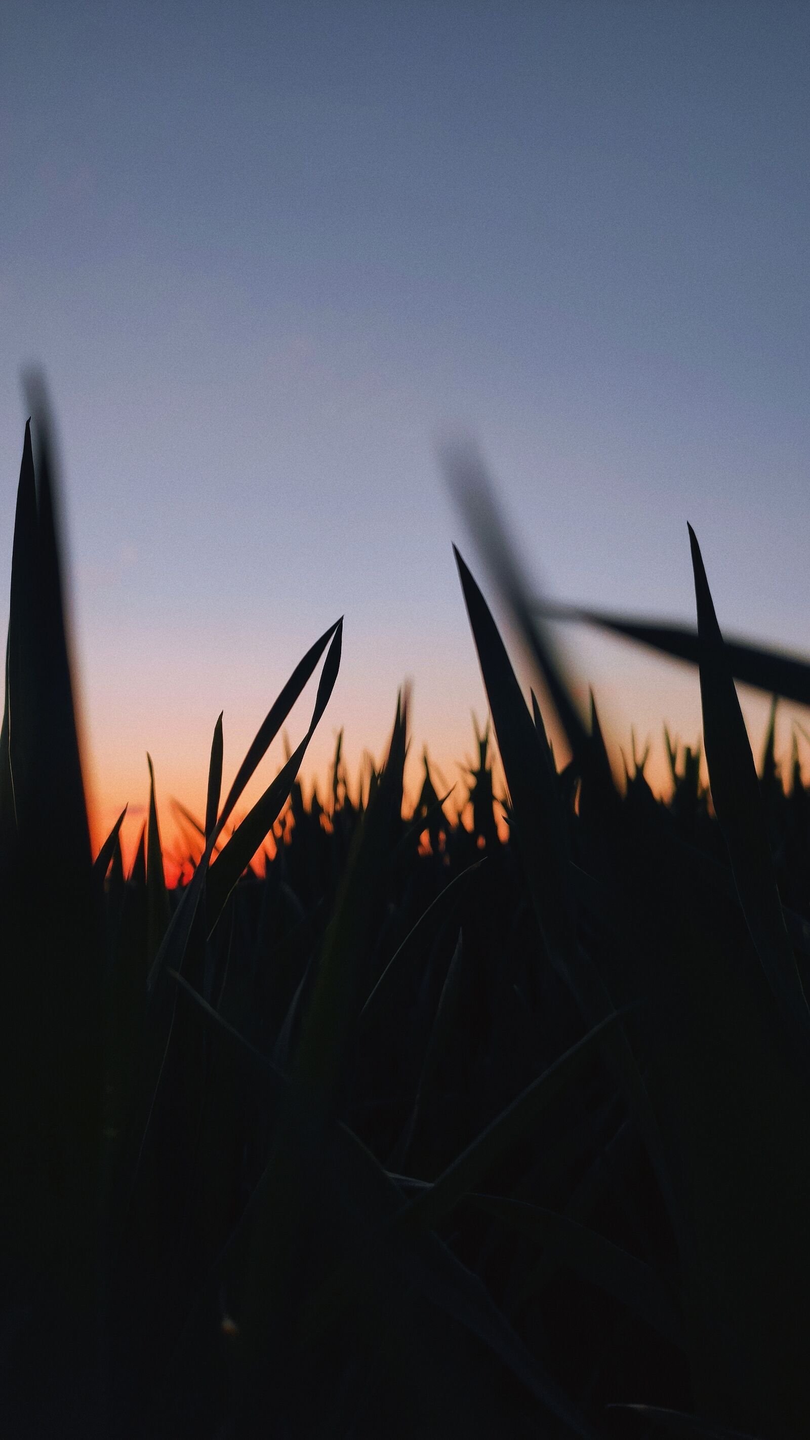 Xiaomi MI CC 9 sample photo. Nature, sky, wallpaper photography