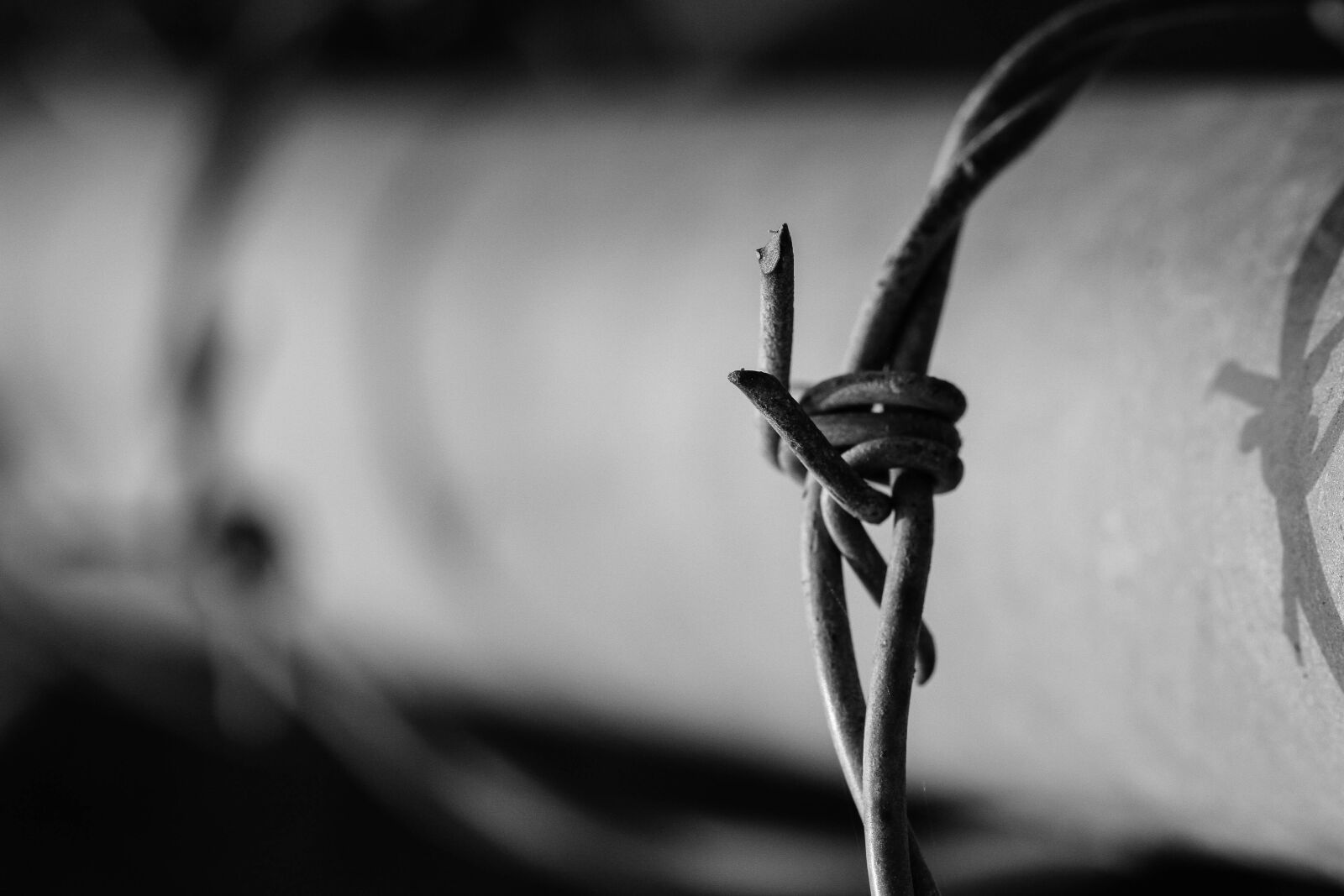 Canon EOS 7D + Canon EF 100mm F2.8 Macro USM sample photo. Barbed wire, wire, fence photography