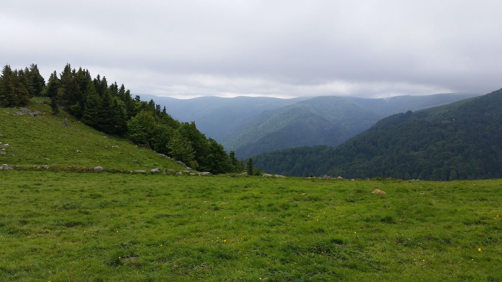 Samsung Galaxy S5 sample photo. Vosges, summit, france photography