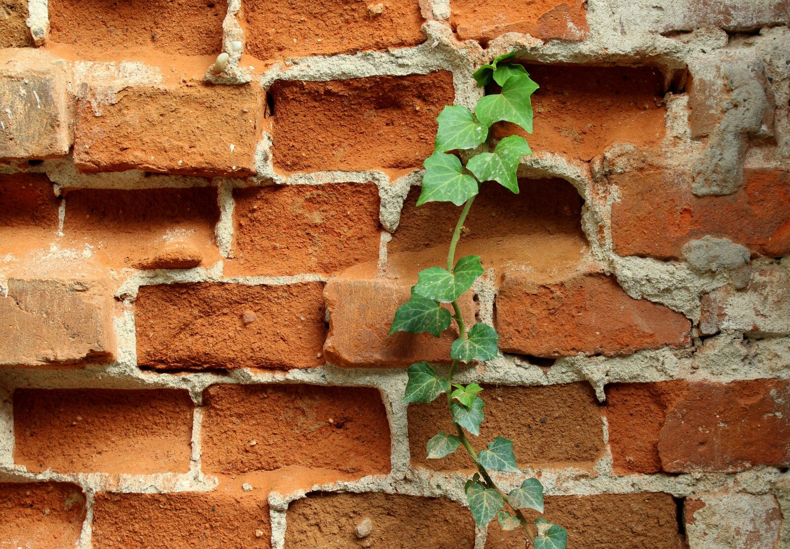 Canon EOS 1200D (EOS Rebel T5 / EOS Kiss X70 / EOS Hi) sample photo. Lake dusia, brick, old photography