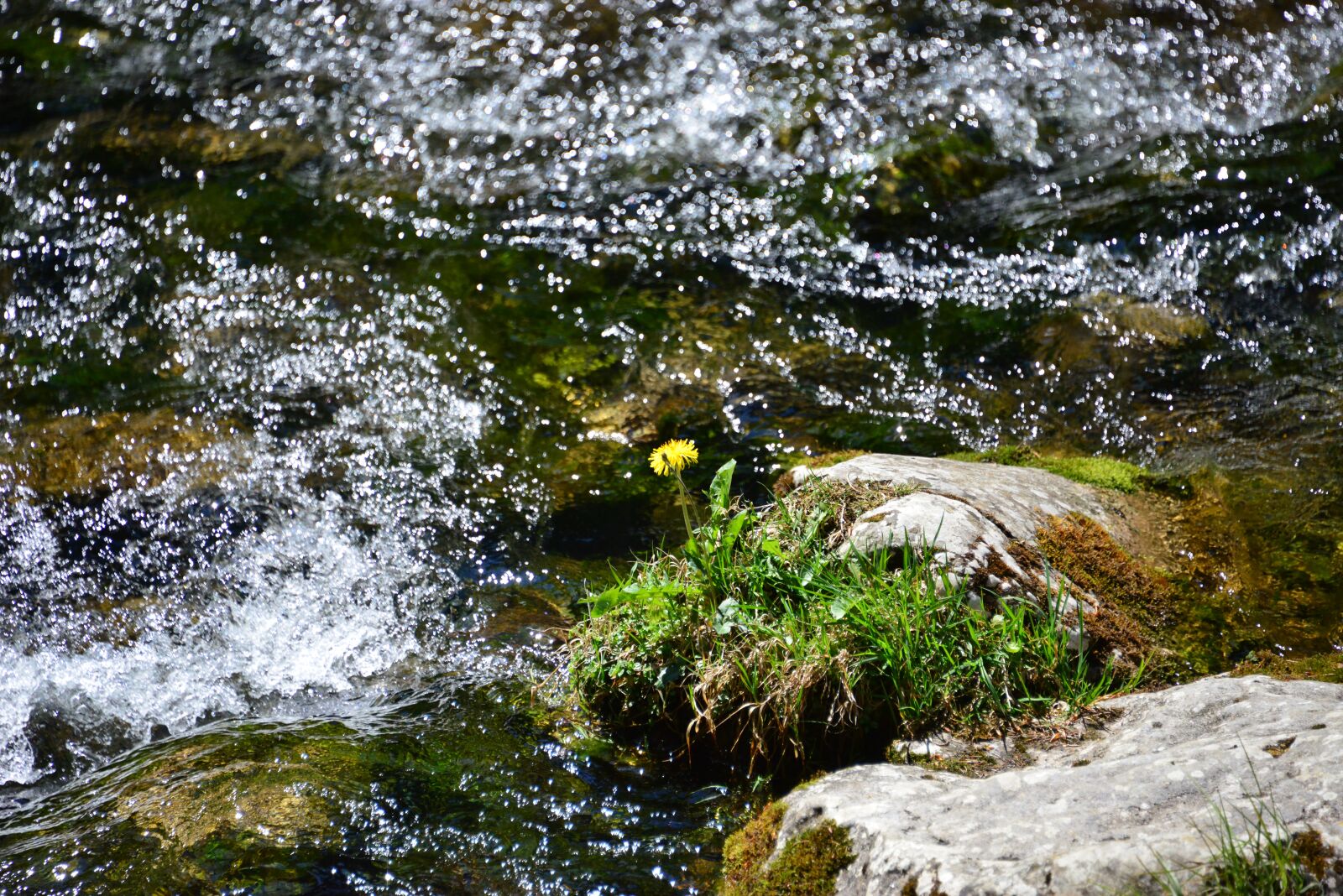 Nikon D800 sample photo. Water, waterfall, nature photography