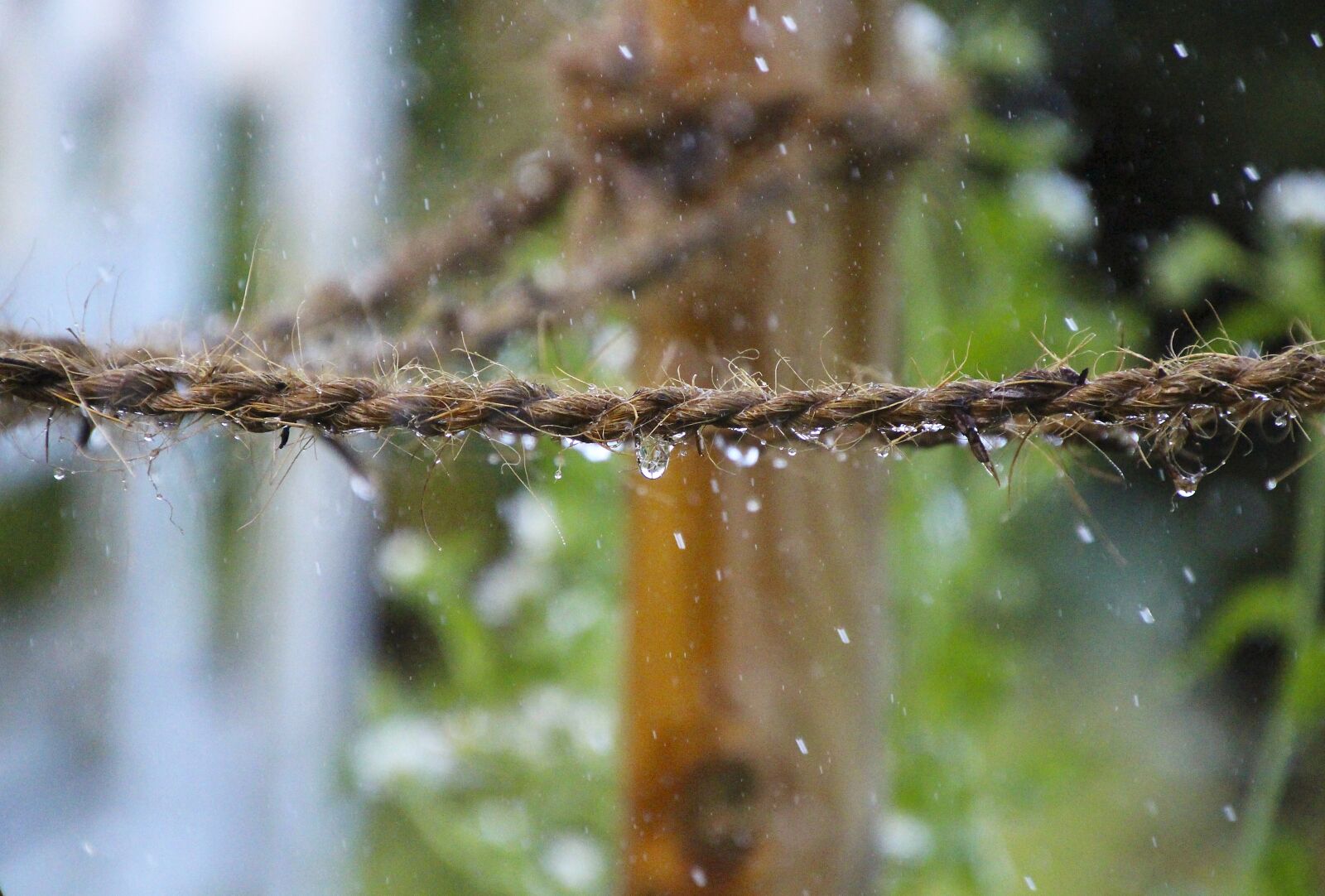 Canon EOS 700D (EOS Rebel T5i / EOS Kiss X7i) sample photo. Rain, drip, rope photography