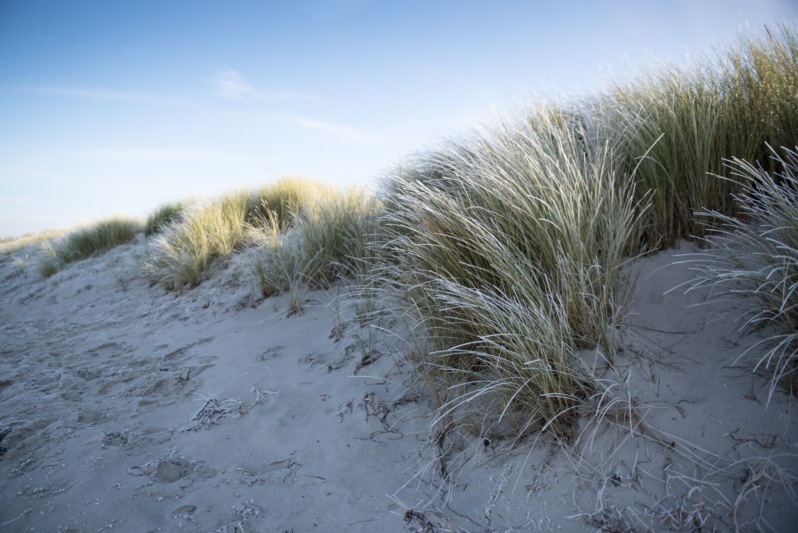 Nikon D800 sample photo. Baltic sea, winter, dune photography