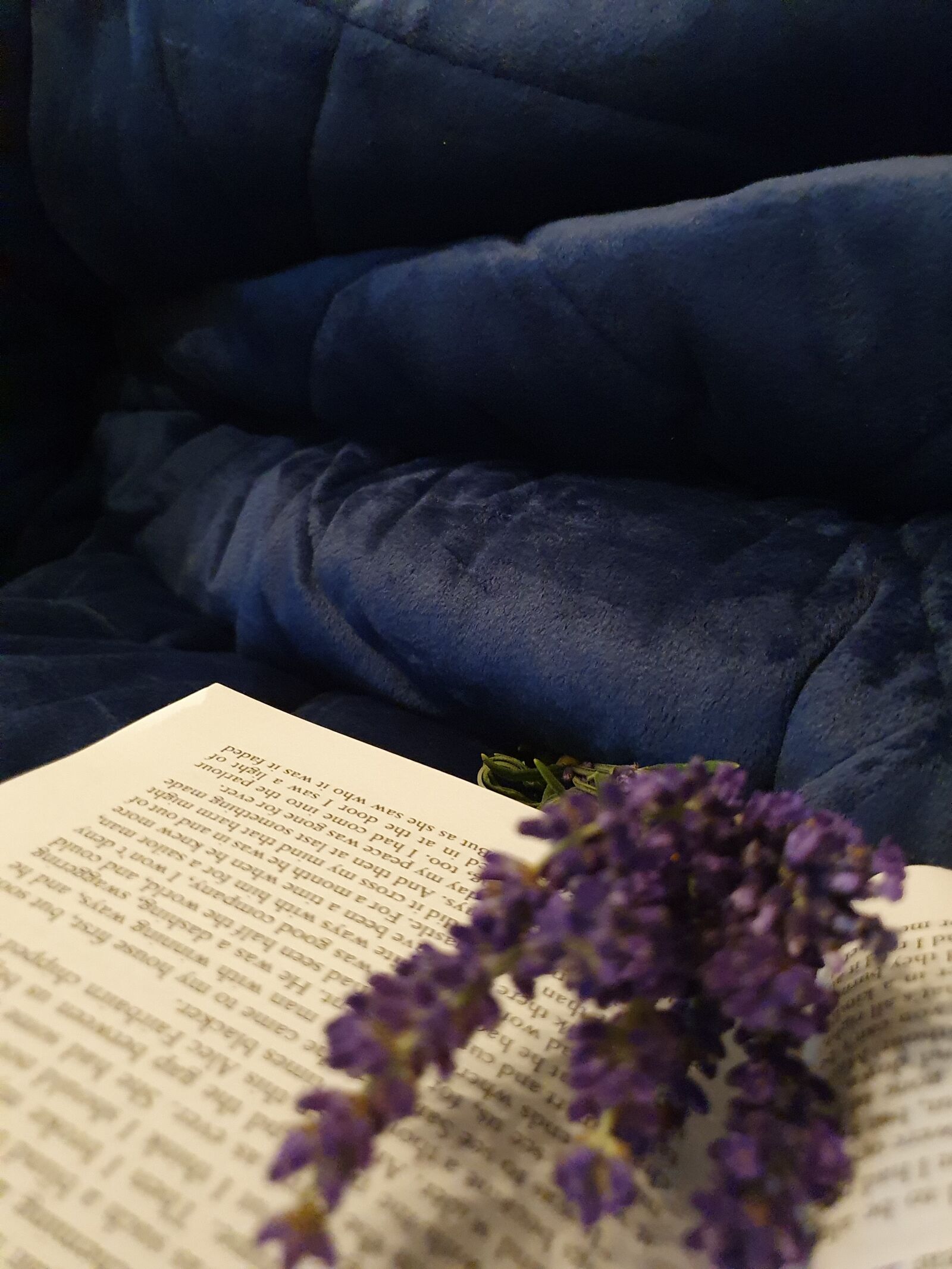 Samsung Galaxy S10 sample photo. Reading, rest, blanket photography