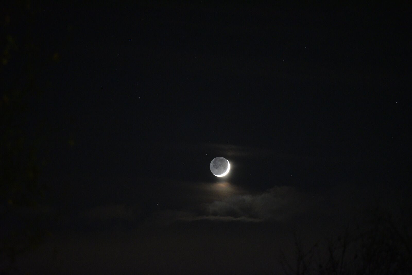Nikon D750 sample photo. Moon, nature, night photography