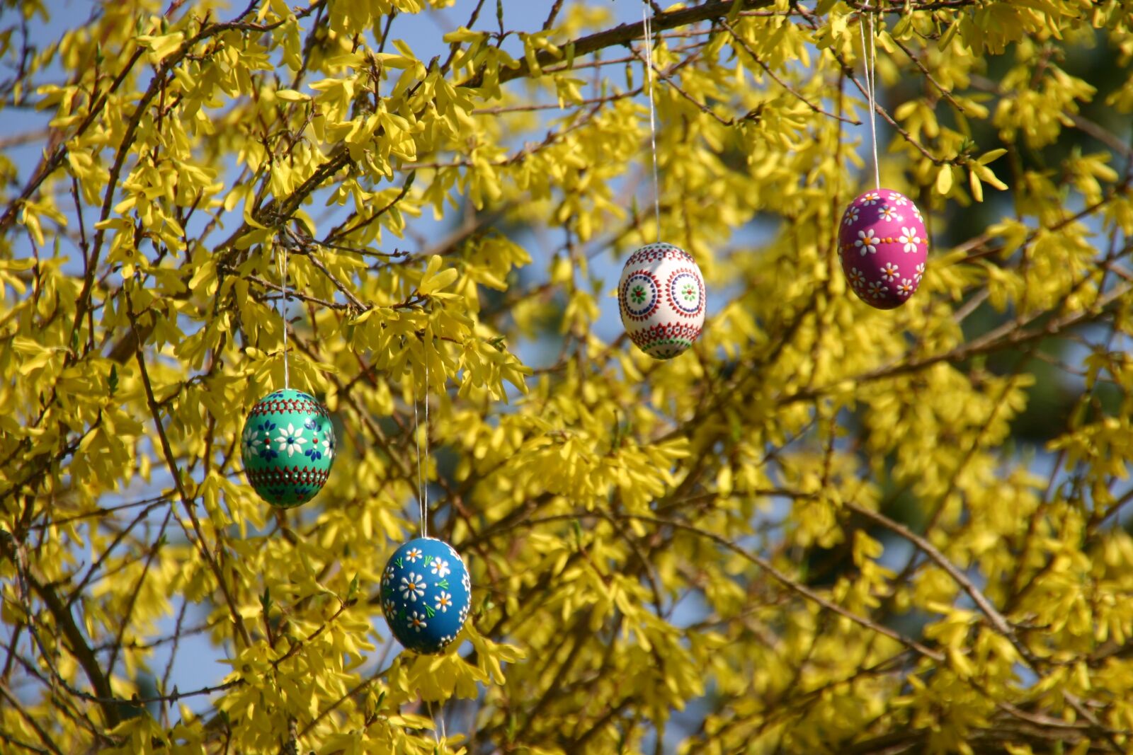 Canon EOS 300D (EOS Digital Rebel / EOS Kiss Digital) sample photo. Easter bouquet, easter, easter photography